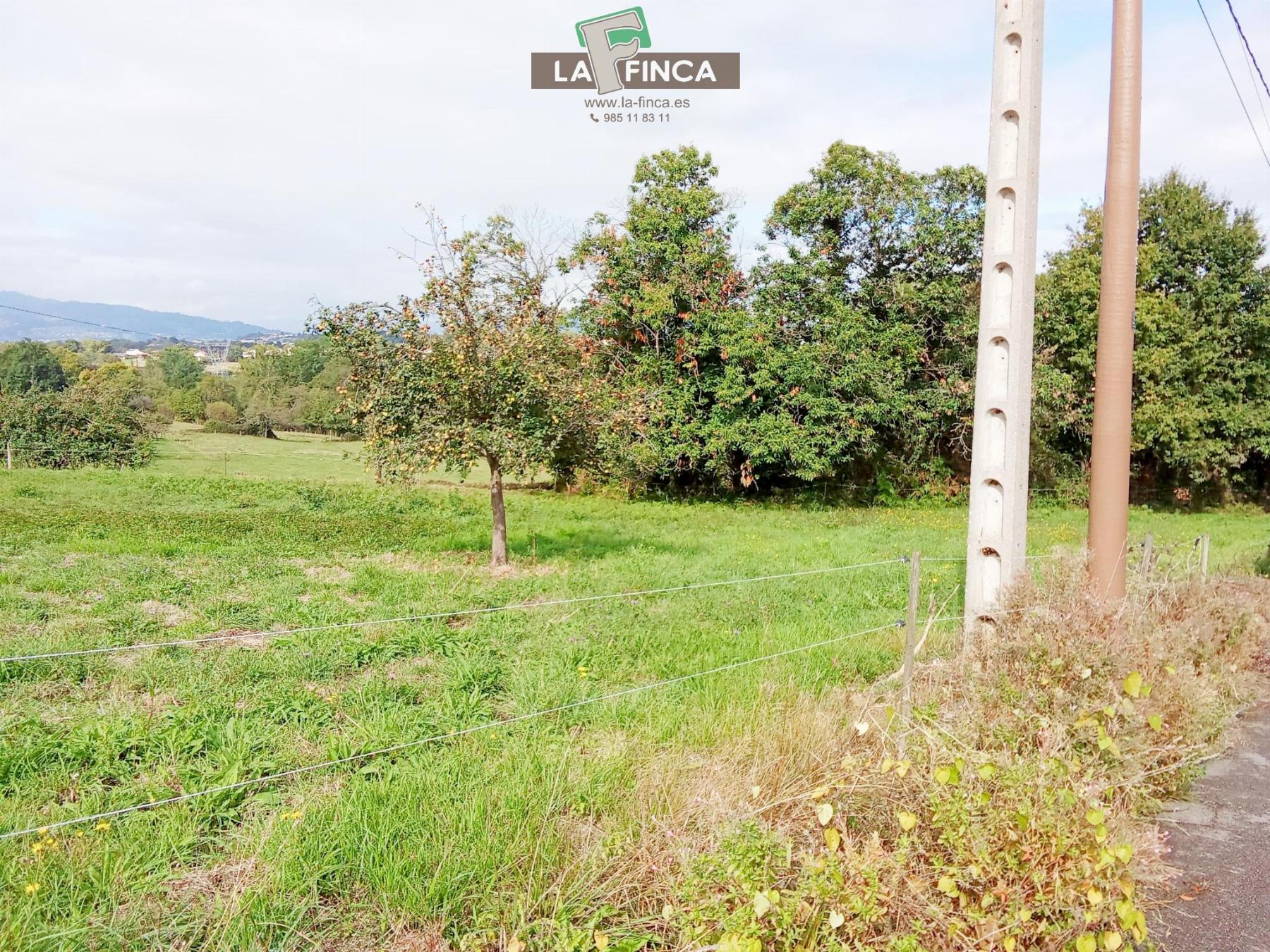 Venta de terreno en Siero