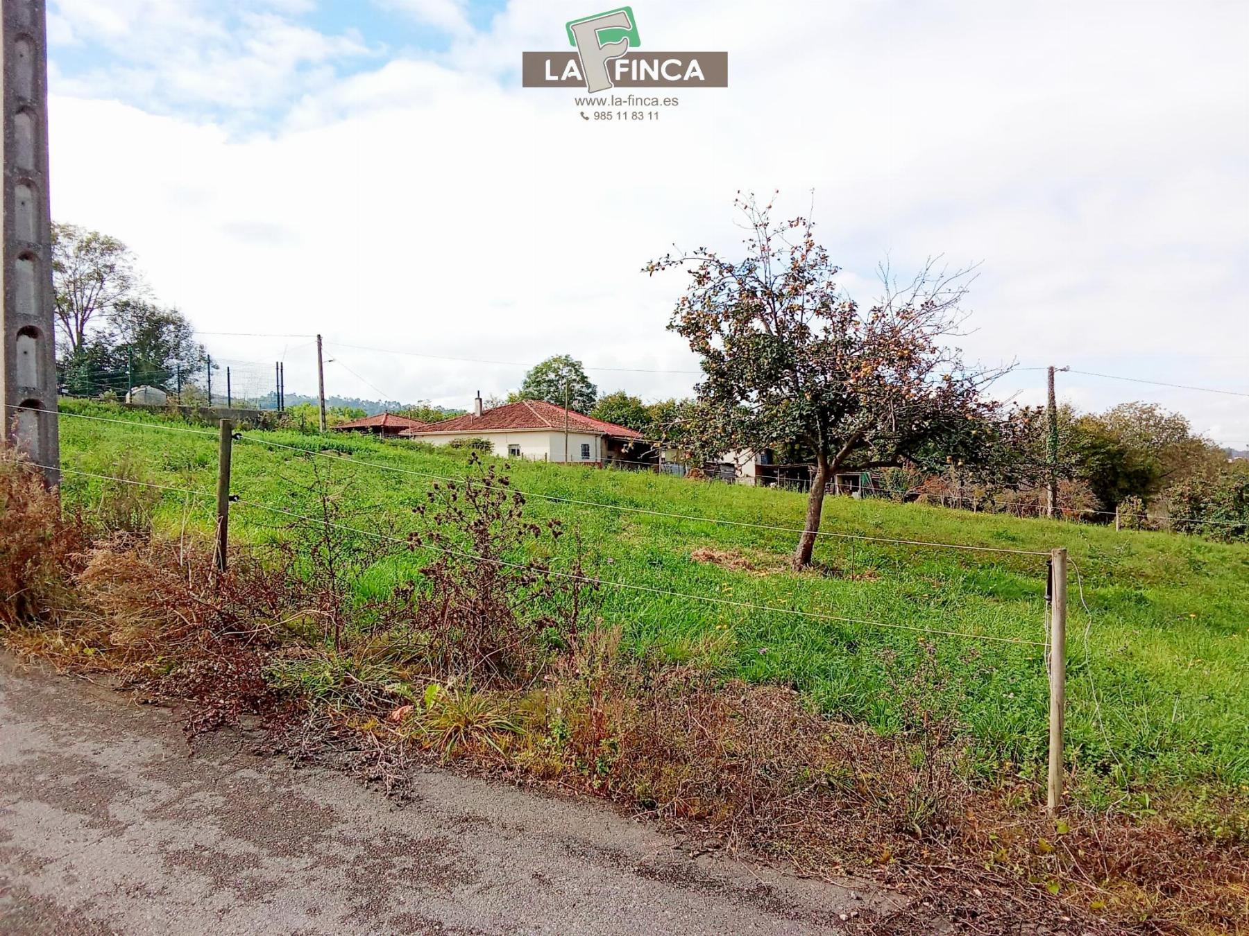 Venta de terreno en Siero