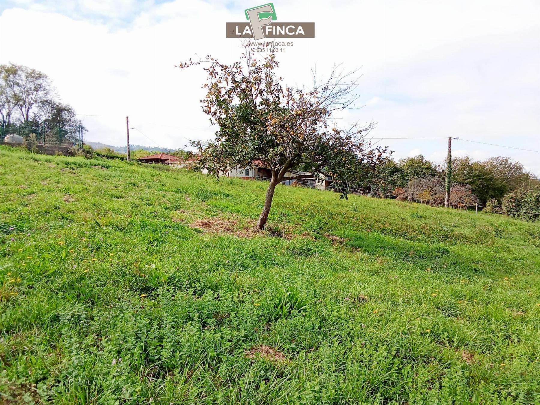 Venta de terreno en Siero