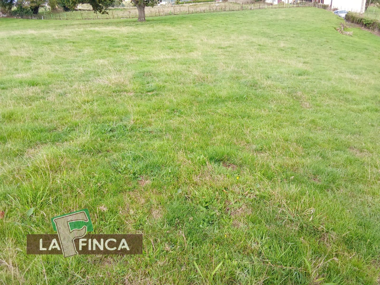 Venta de terreno en Oviedo