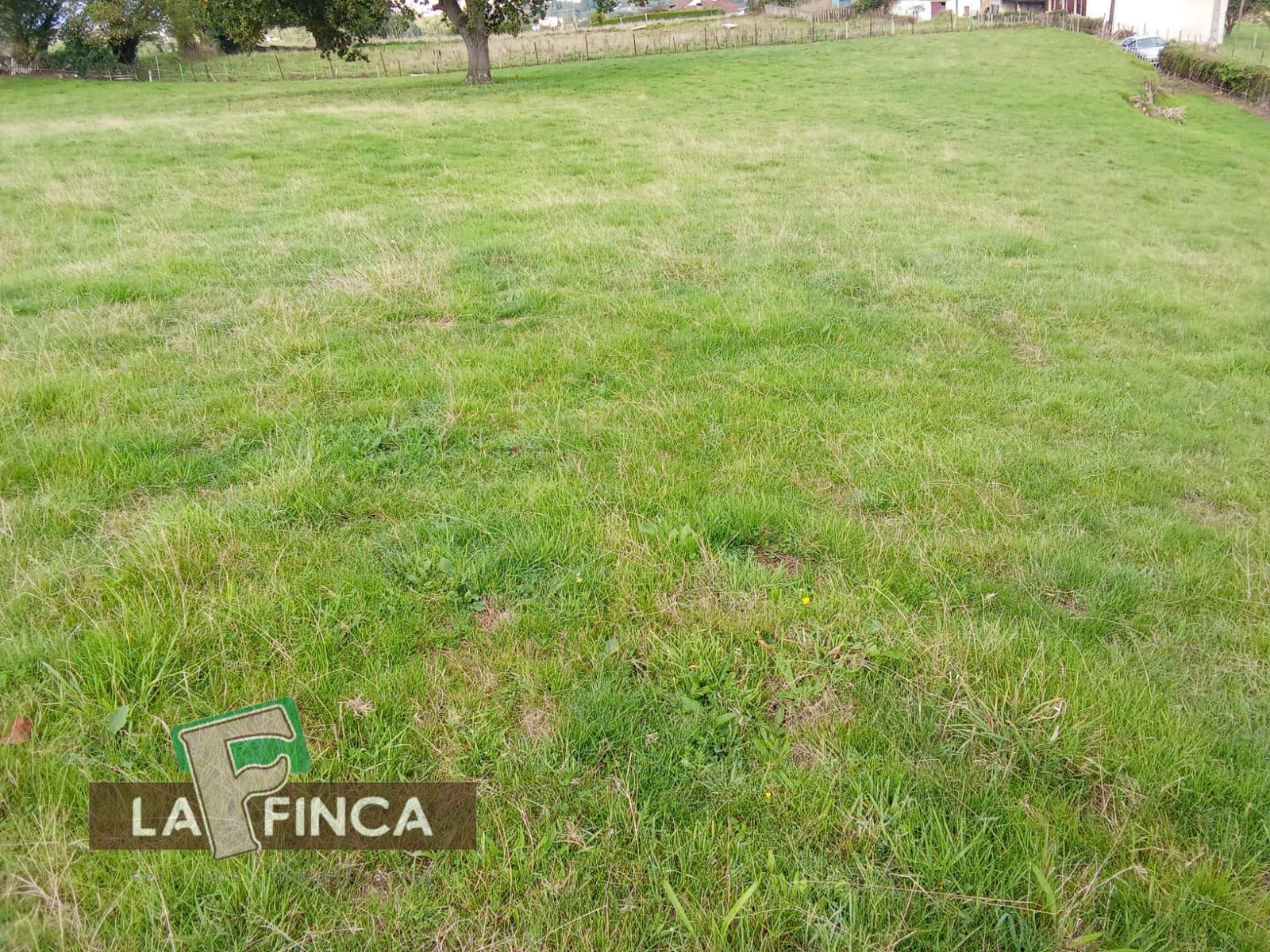 Venta de terreno en Oviedo