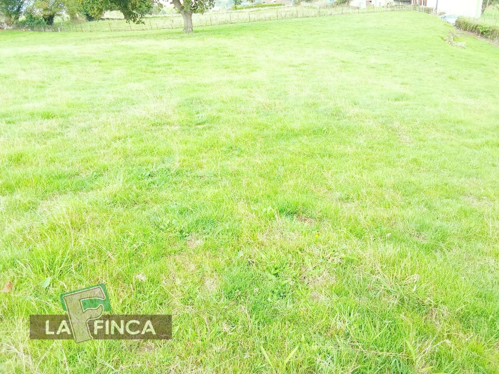 Venta de terreno en Oviedo