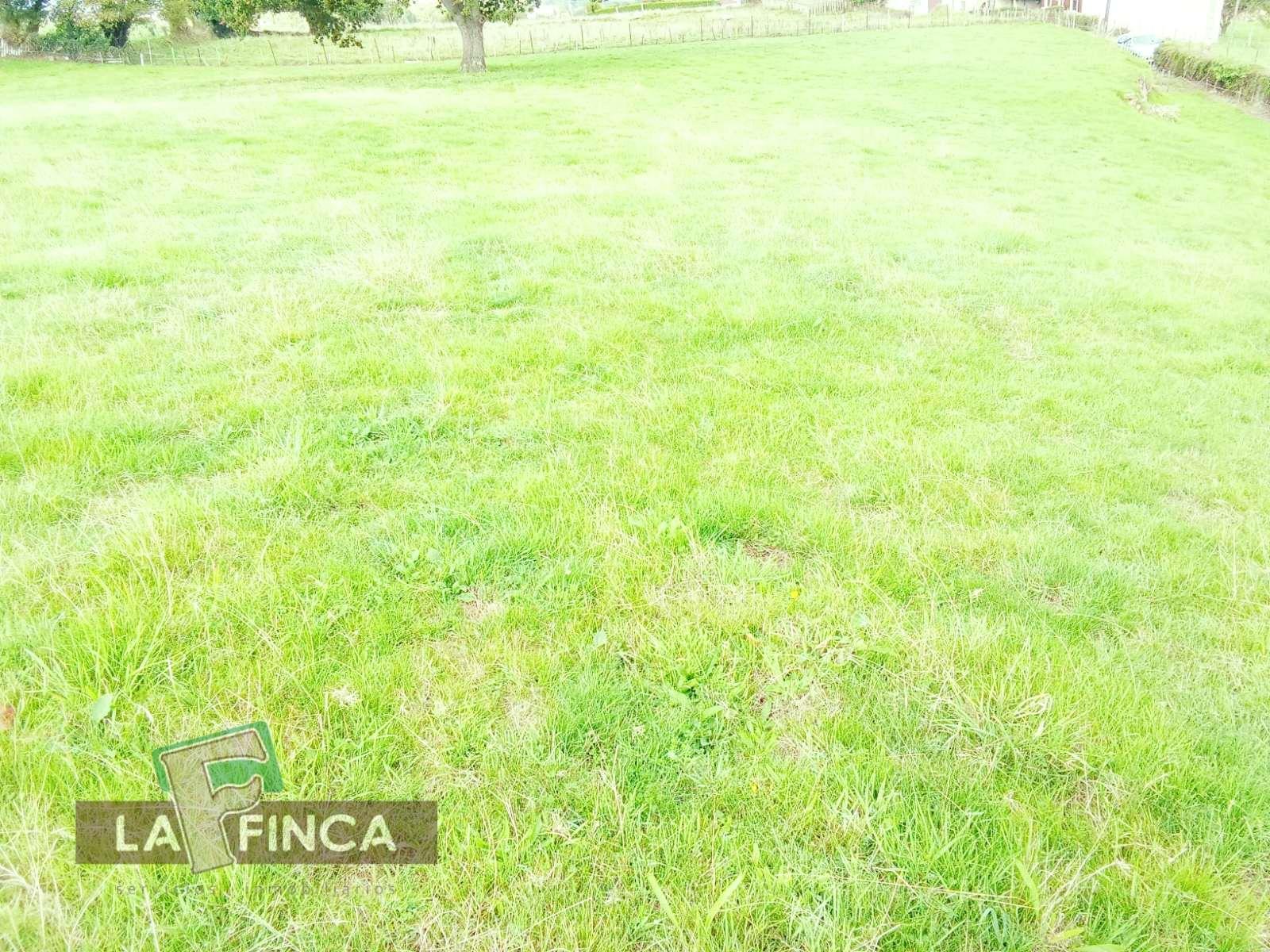 Venta de terreno en Oviedo