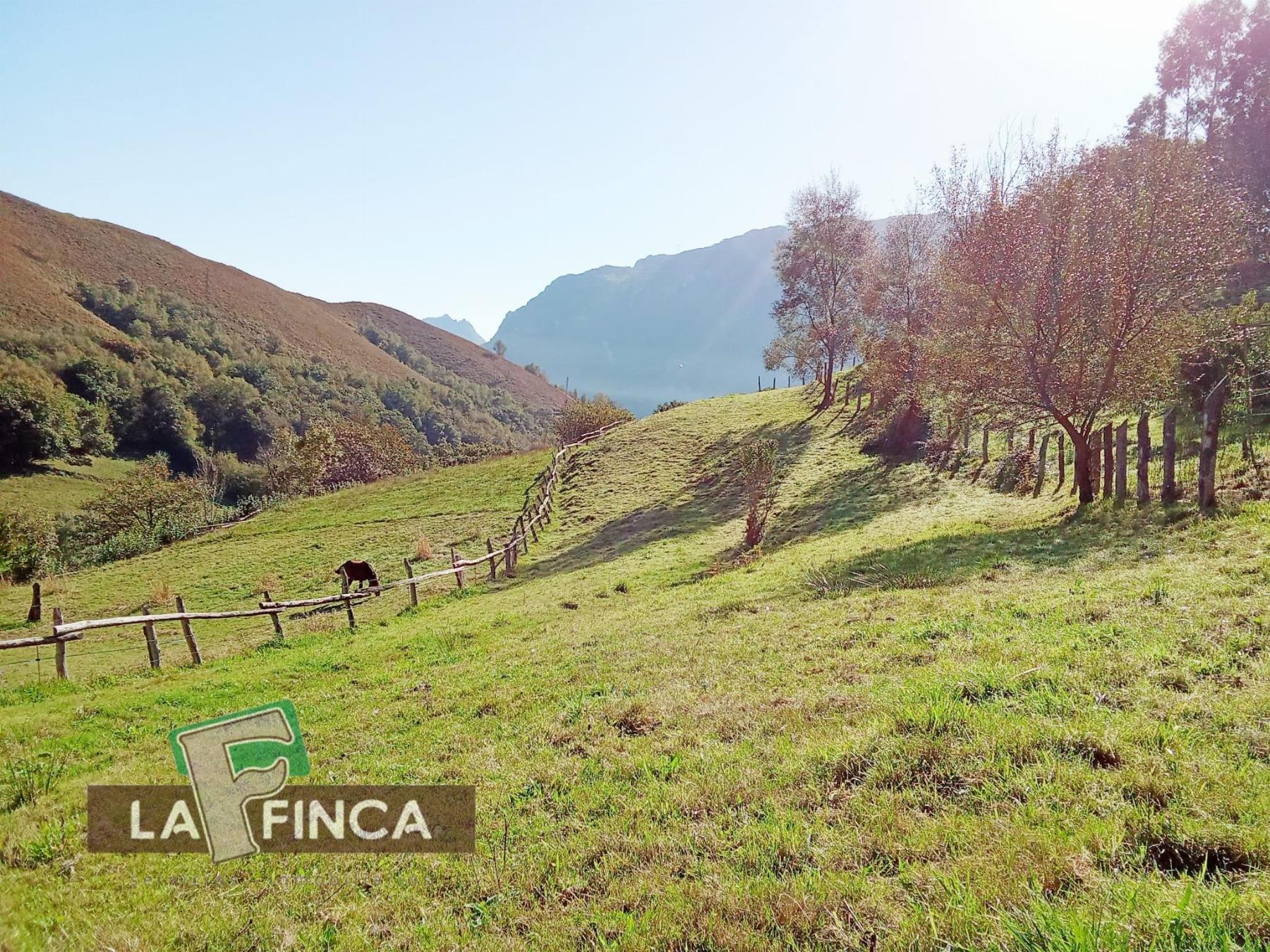 Venta de terreno en Morcín