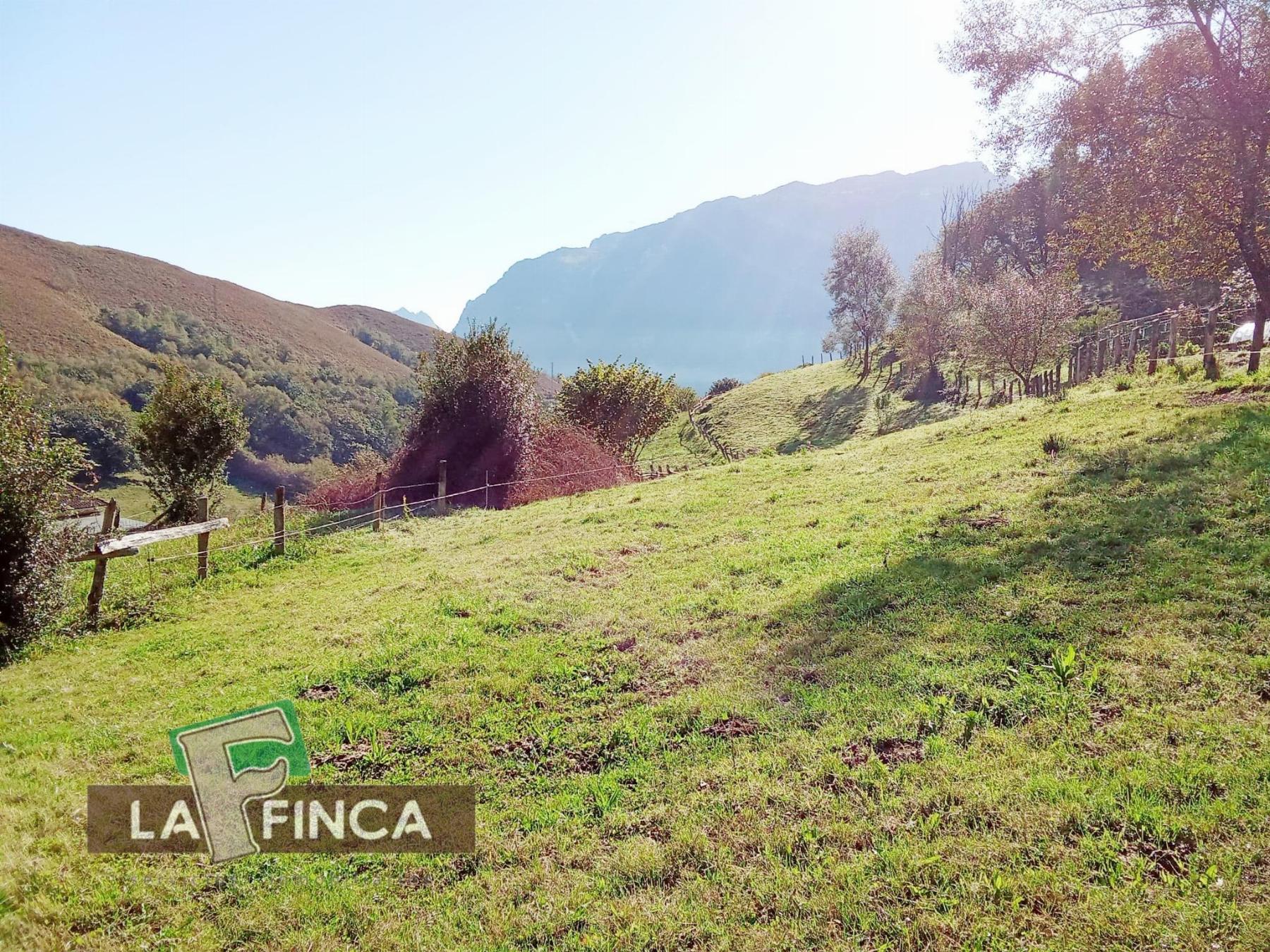 Venta de terreno en Morcín