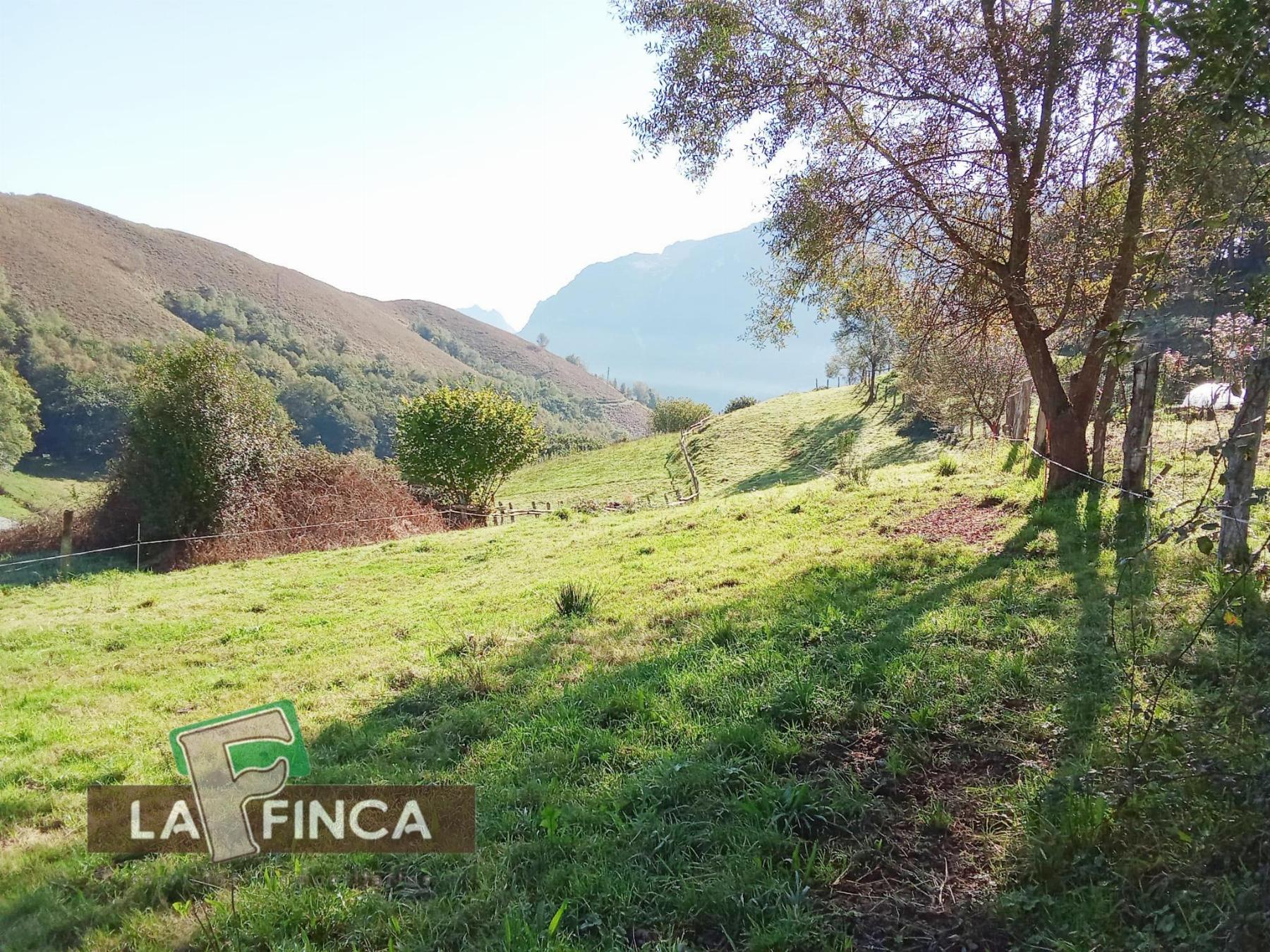 Venta de terreno en Morcín