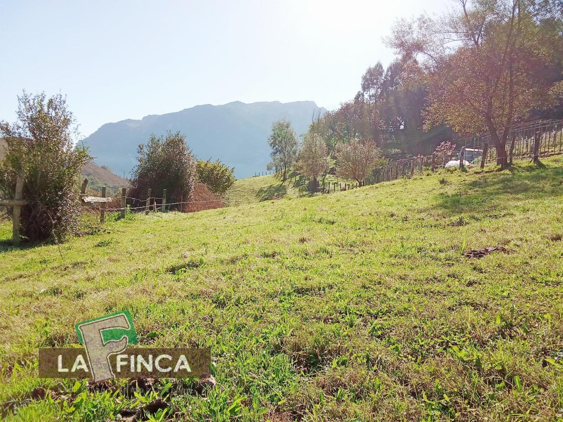 Venta de terreno en Morcín