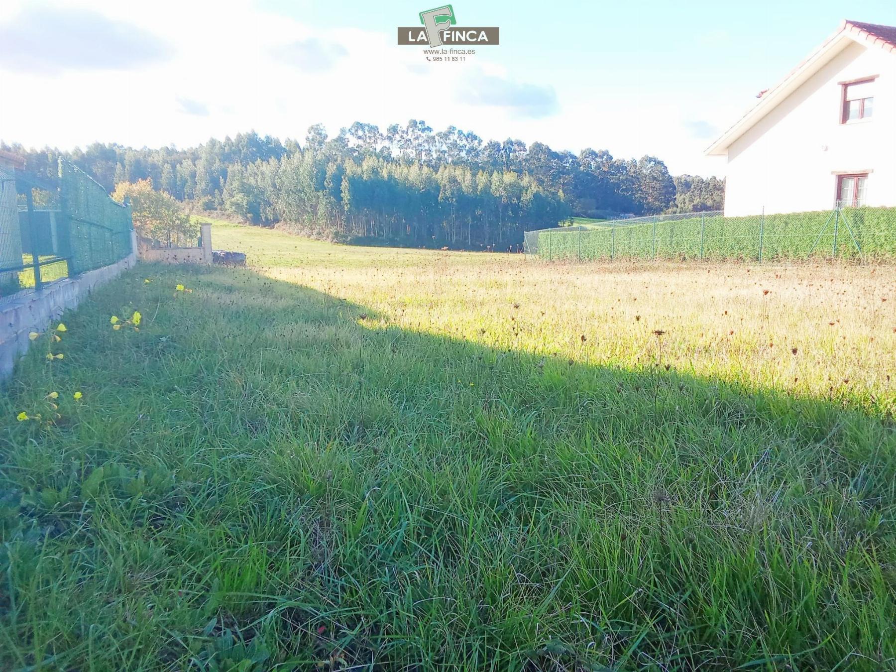 For sale of land in Soto del Barco Concejo