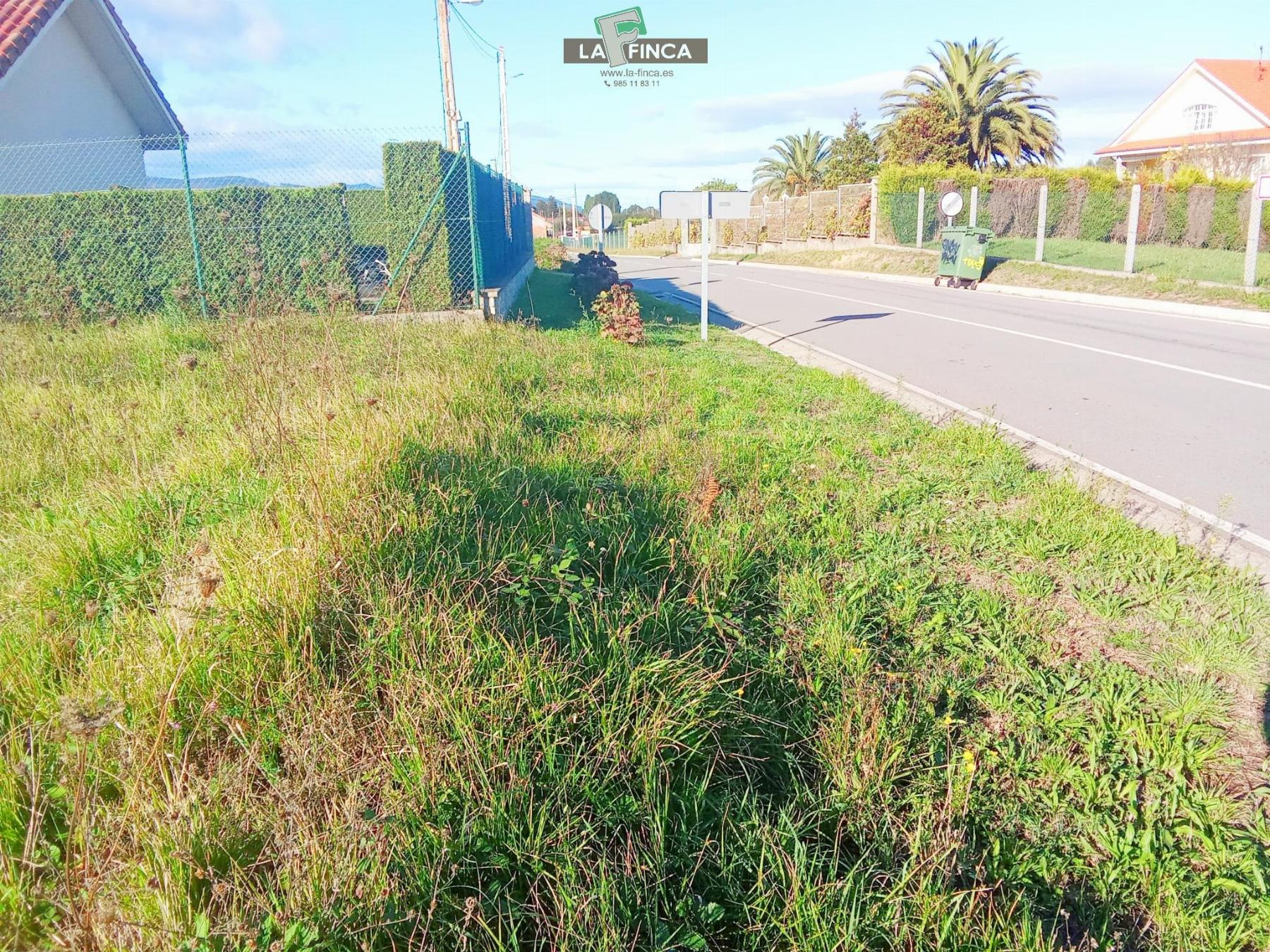 For sale of land in Soto del Barco Concejo