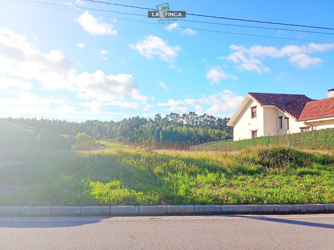 For sale of land in Soto del Barco Concejo