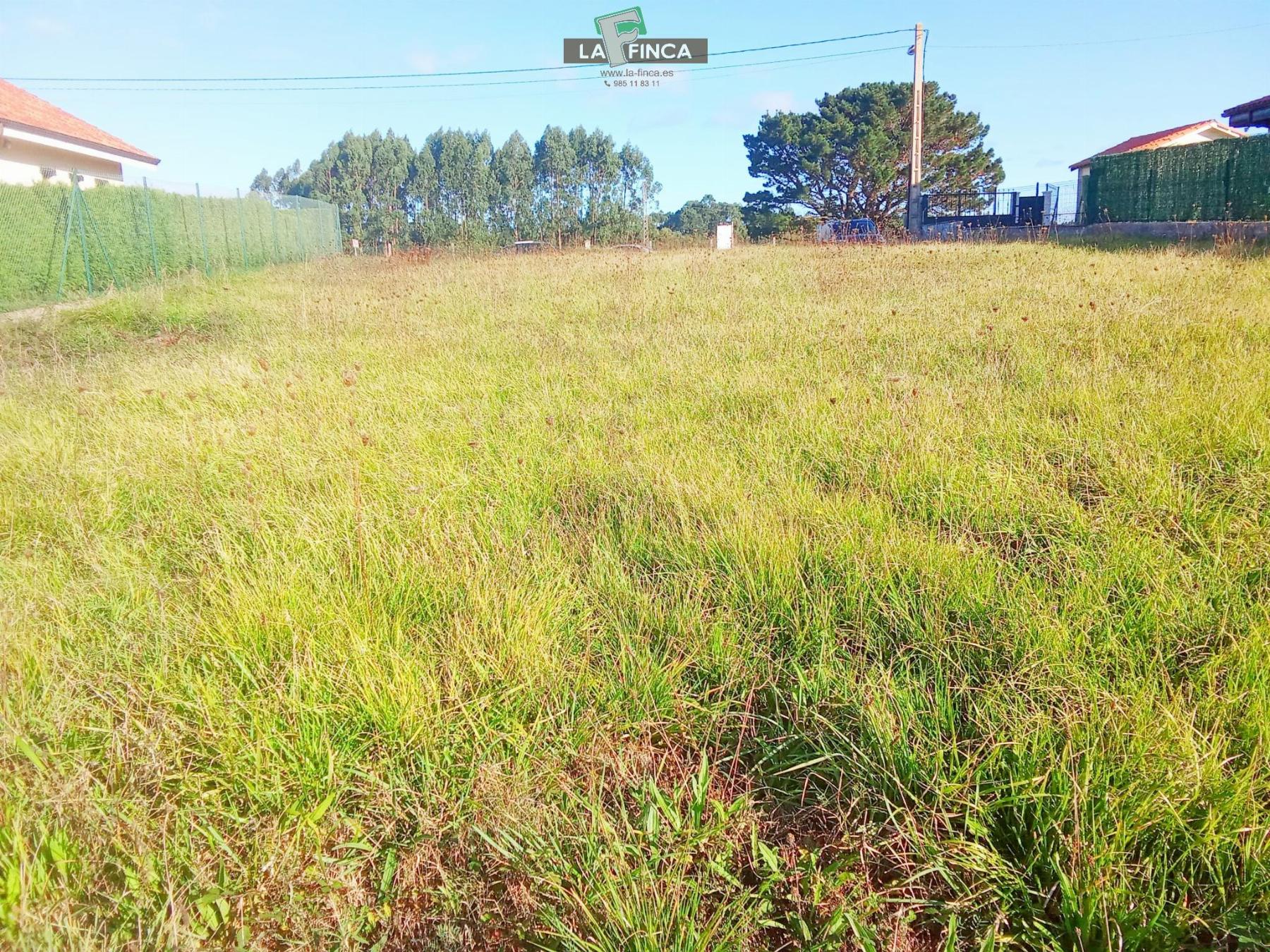 For sale of land in Soto del Barco Concejo
