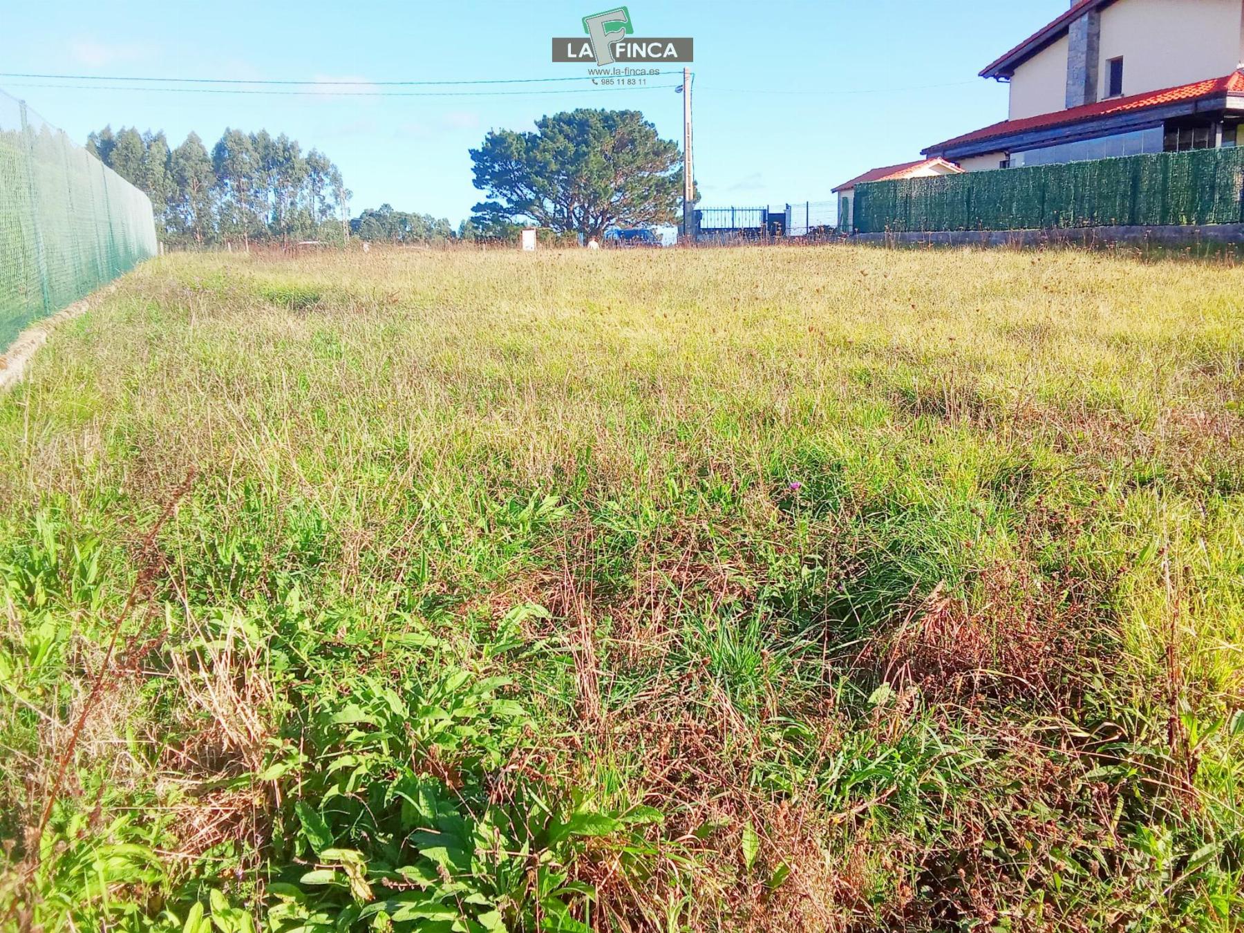 For sale of land in Soto del Barco Concejo