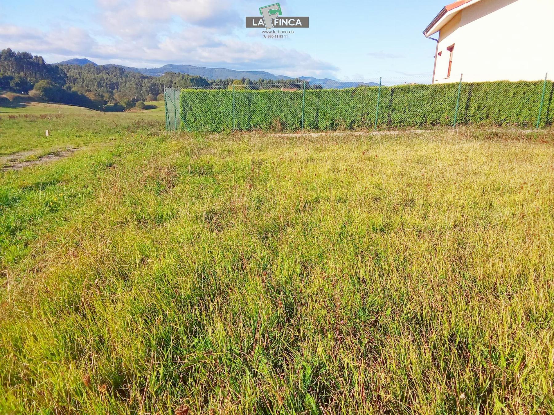 For sale of land in Soto del Barco Concejo
