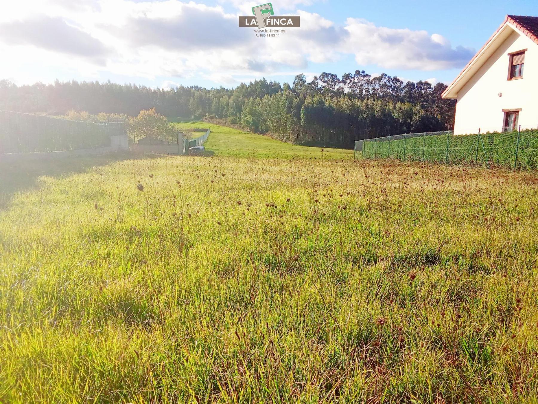 For sale of land in Soto del Barco Concejo