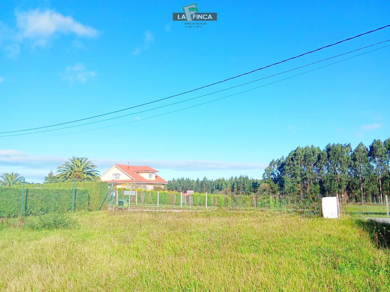 For sale of land in Soto del Barco Concejo