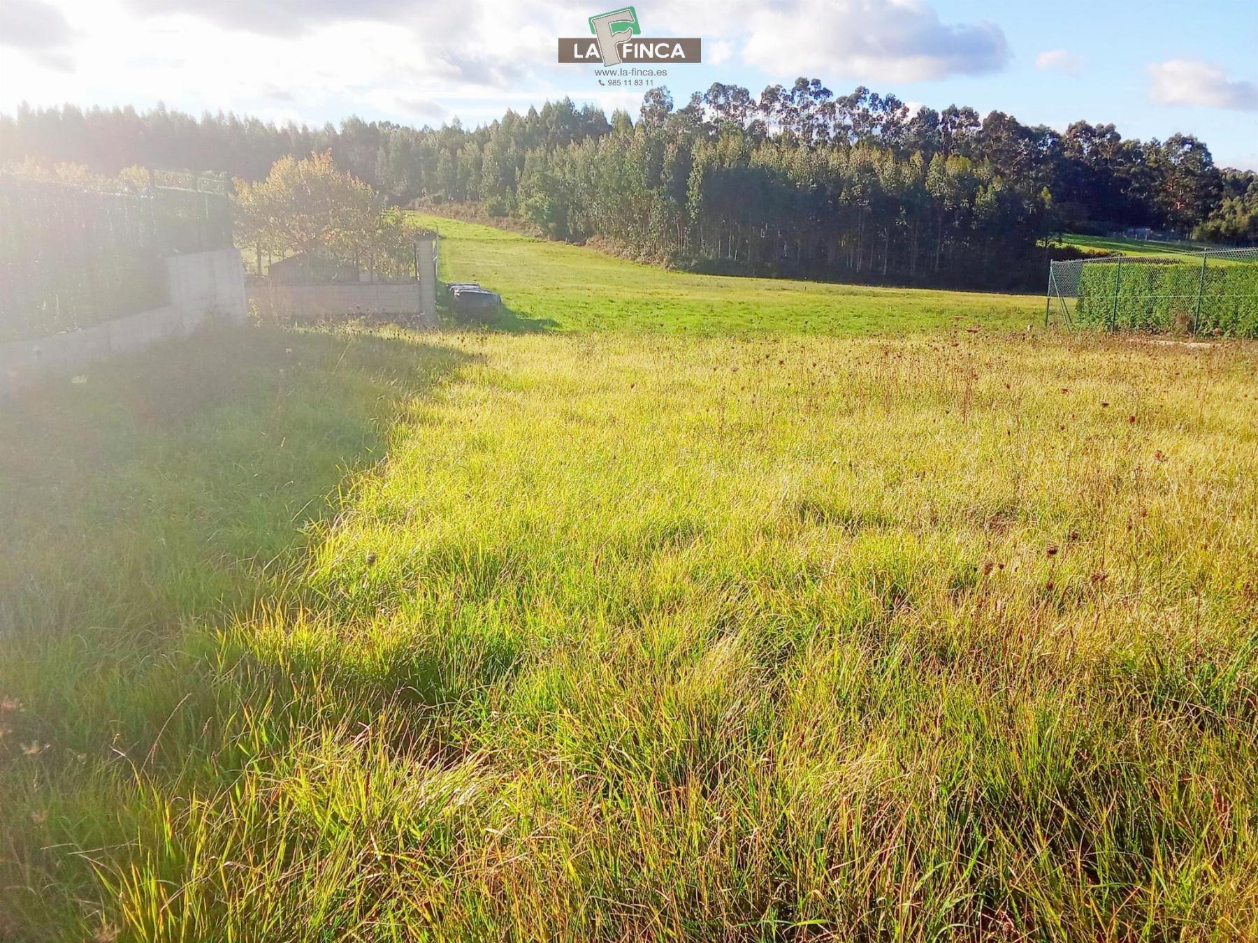 For sale of land in Soto del Barco Concejo