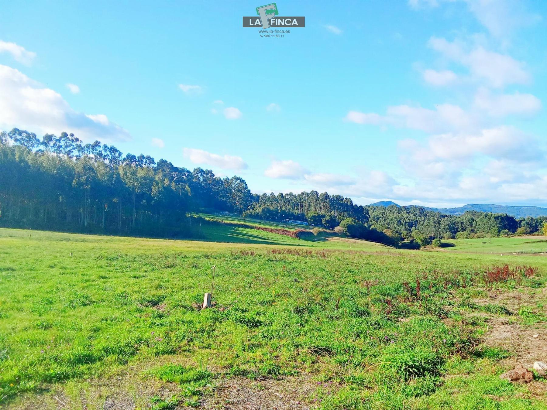 For sale of land in Soto del Barco Concejo