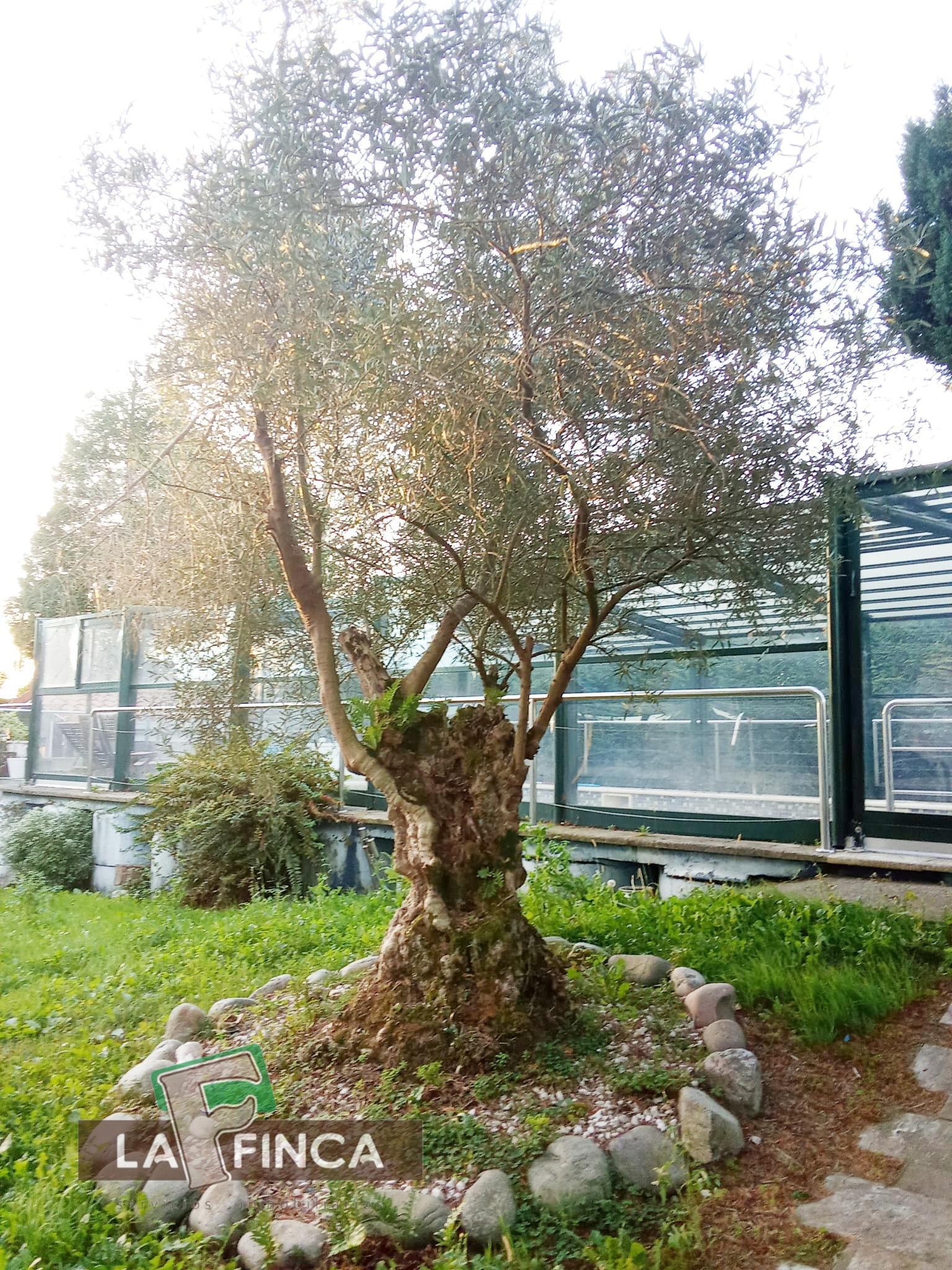 Venta de casa en Muros del Nalón