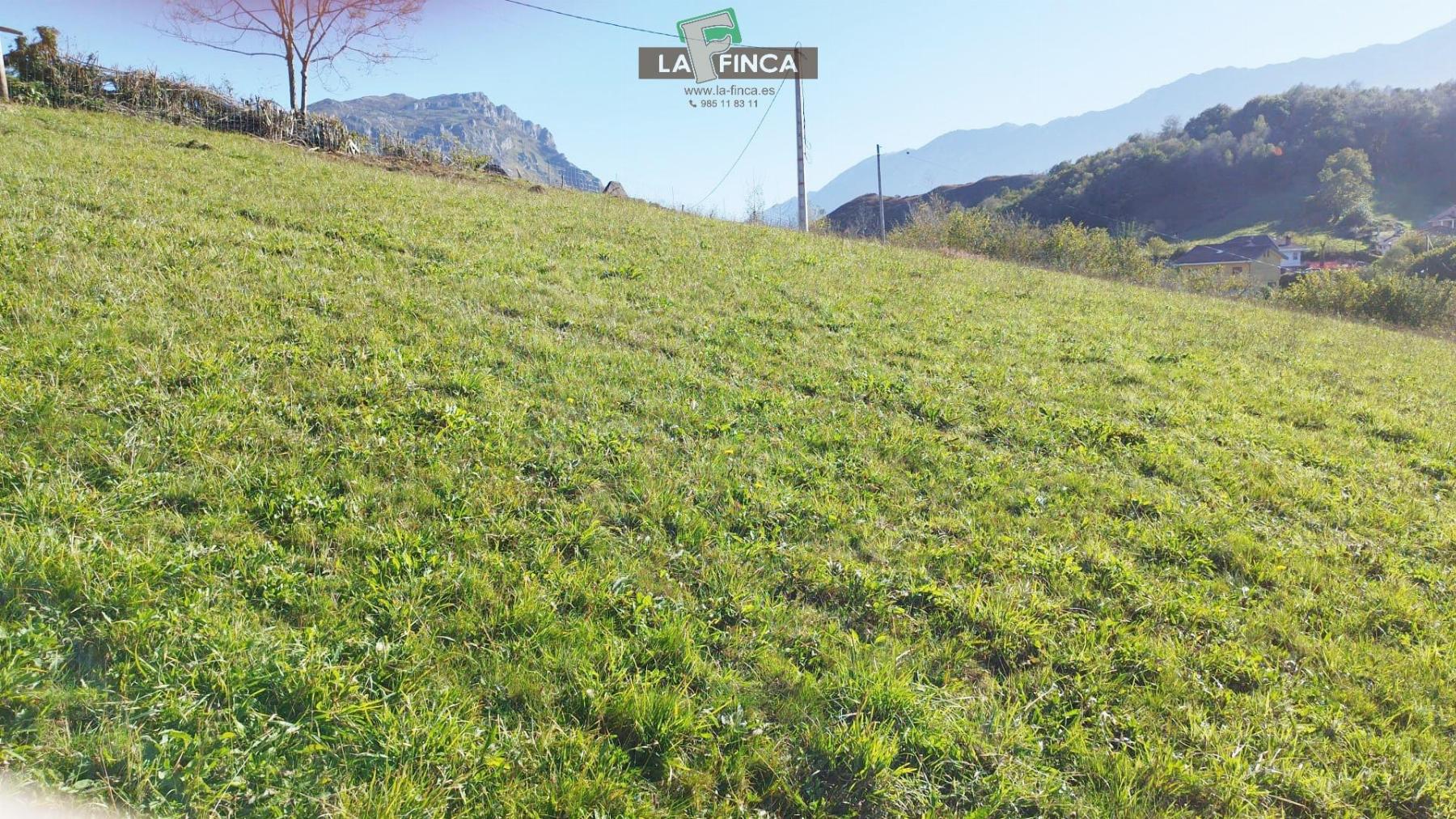 Venta de terreno en Morcín