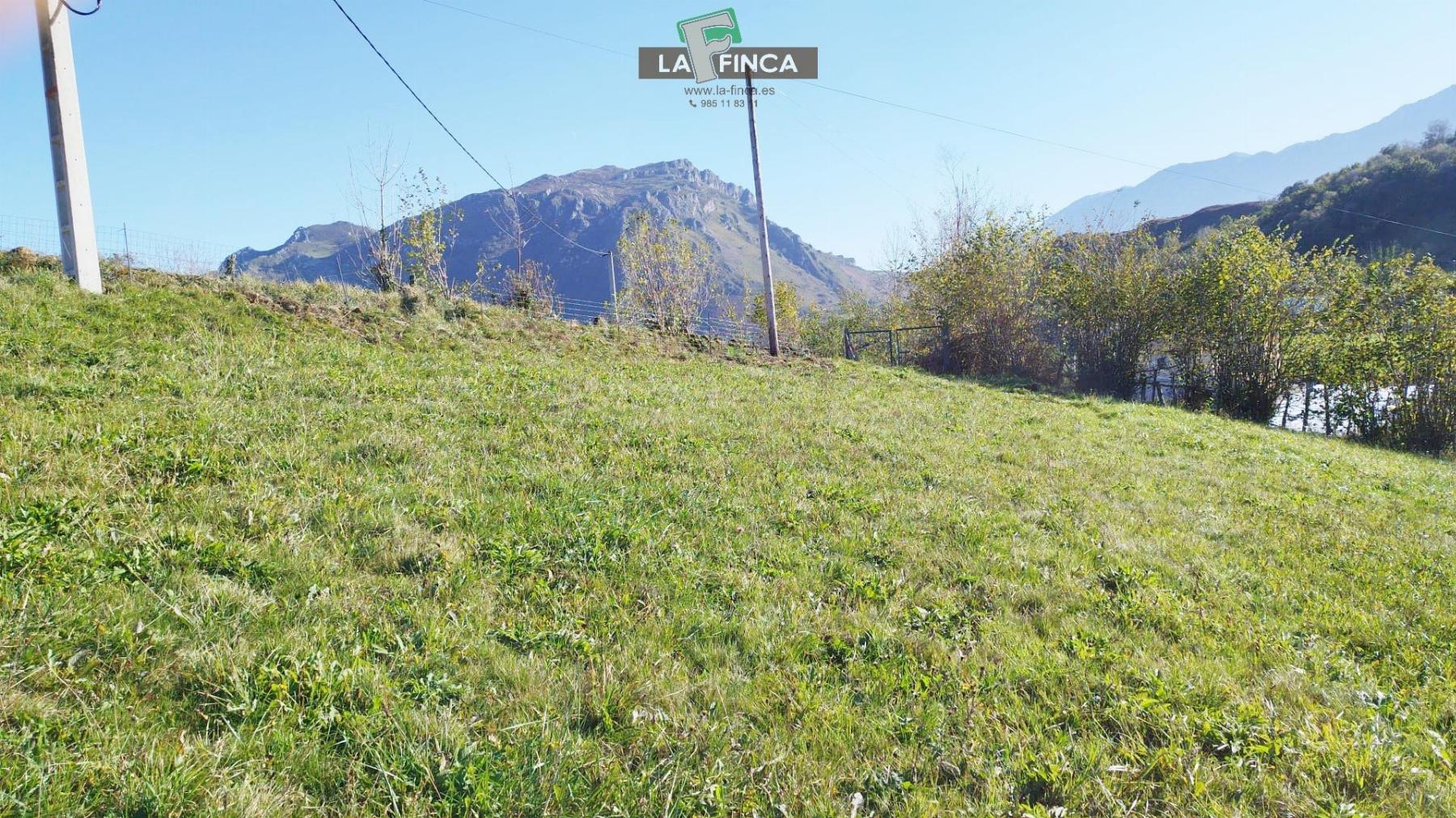 Venta de terreno en Morcín