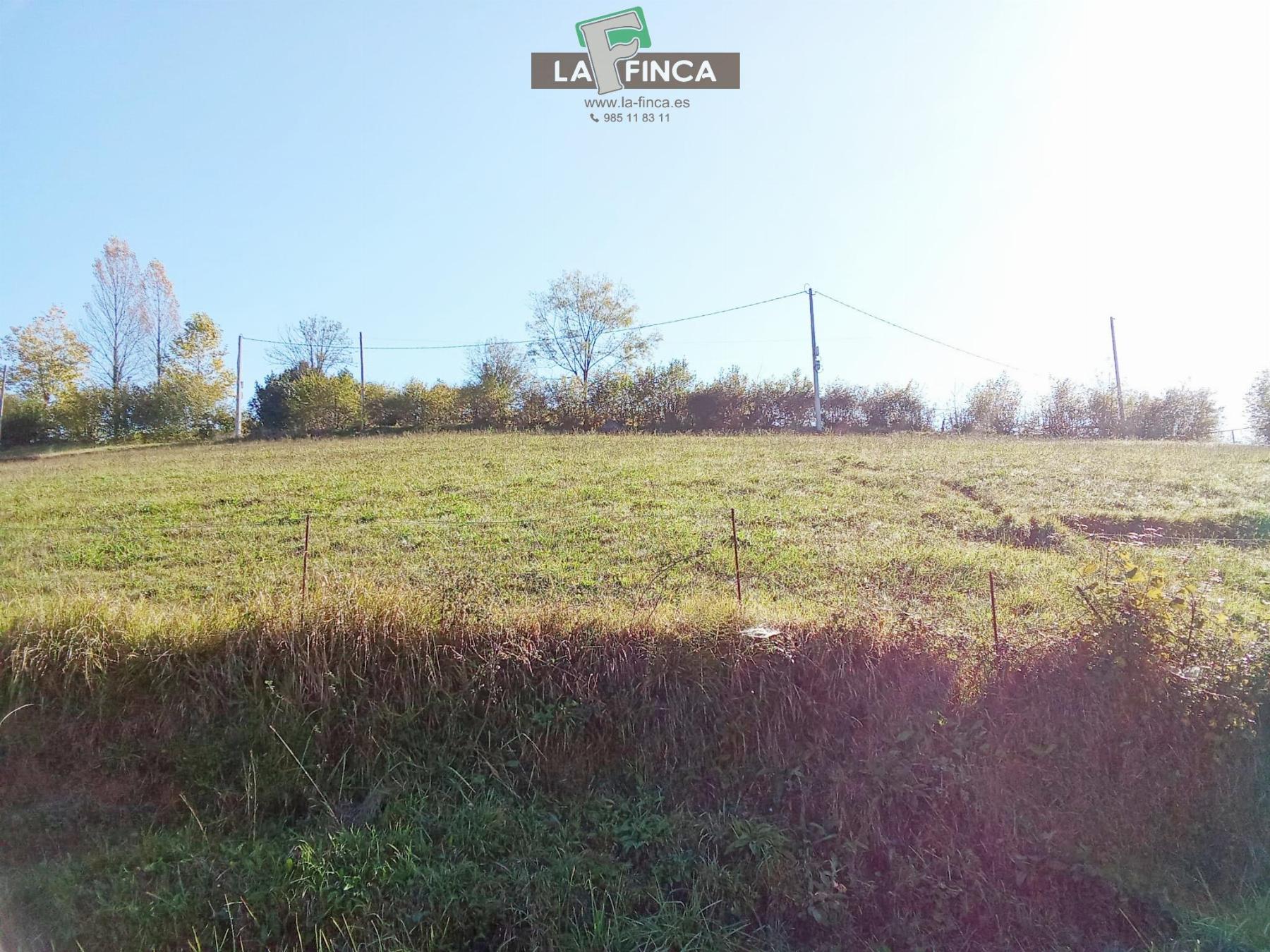 Venta de terreno en Morcín