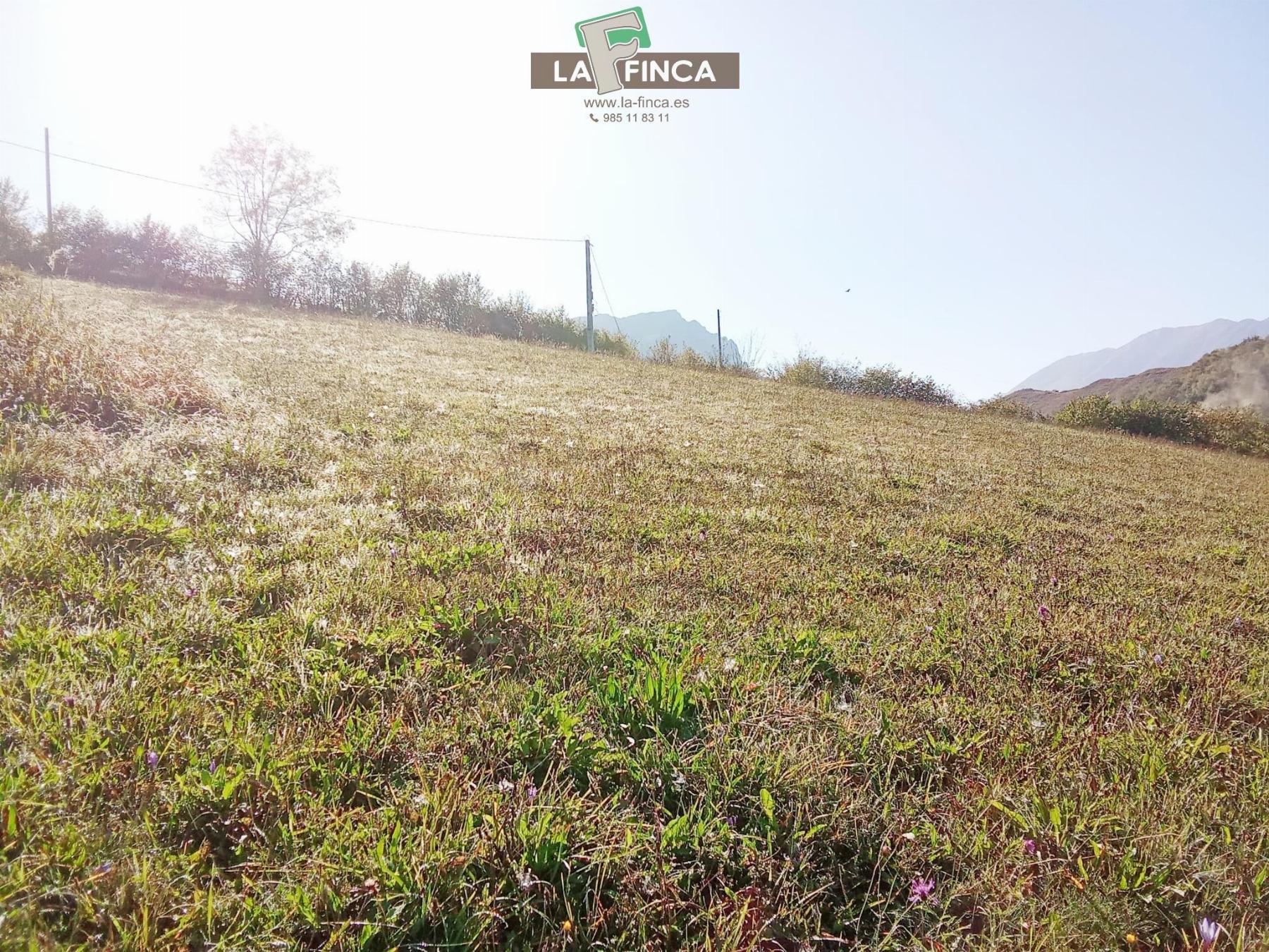 Venta de terreno en Morcín