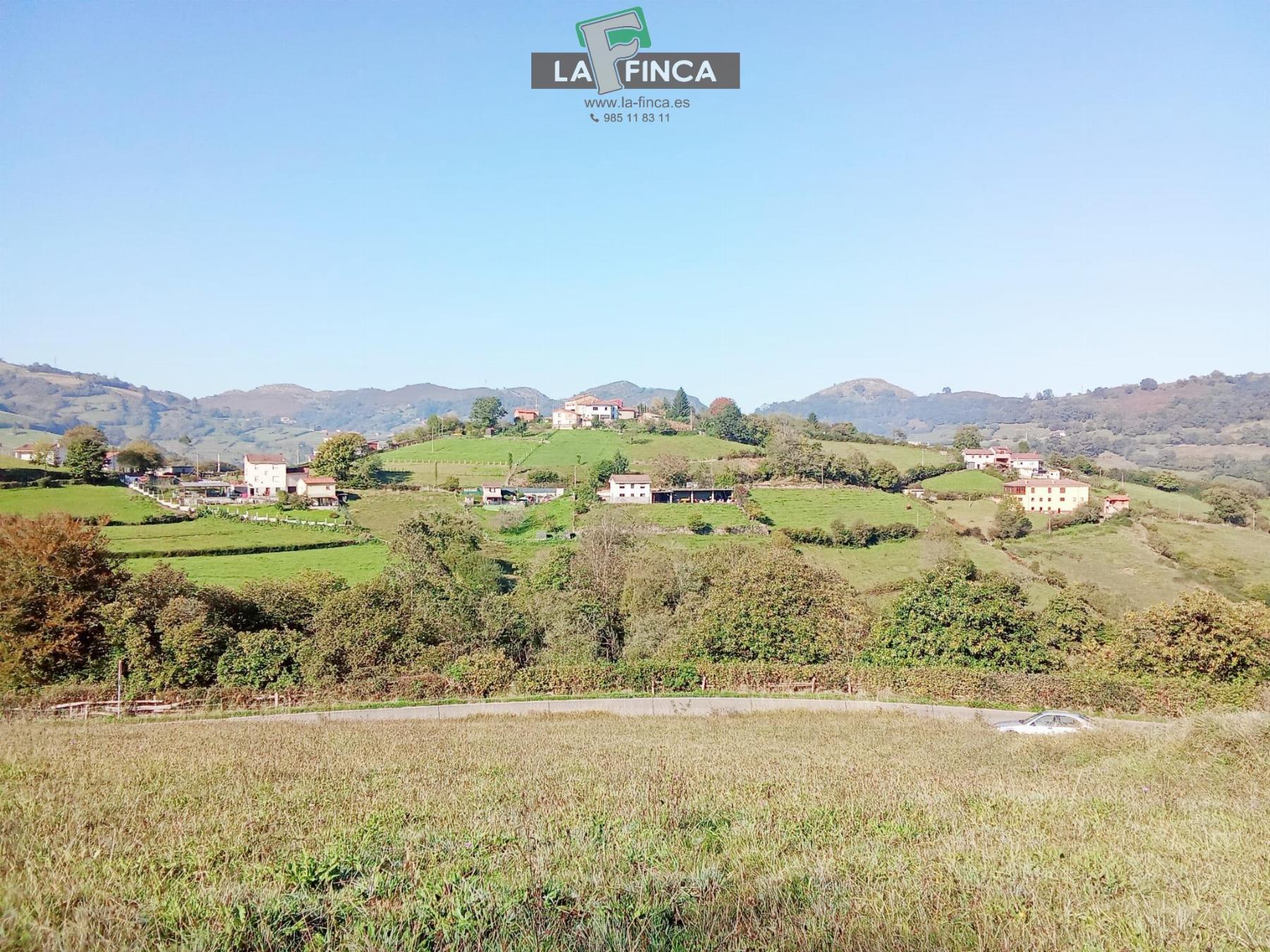 For sale of land in Morcín