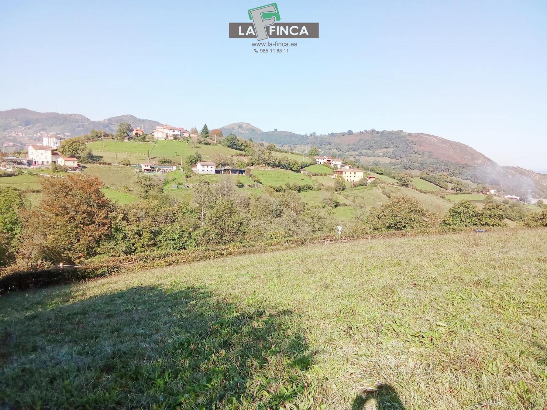 For sale of land in Morcín