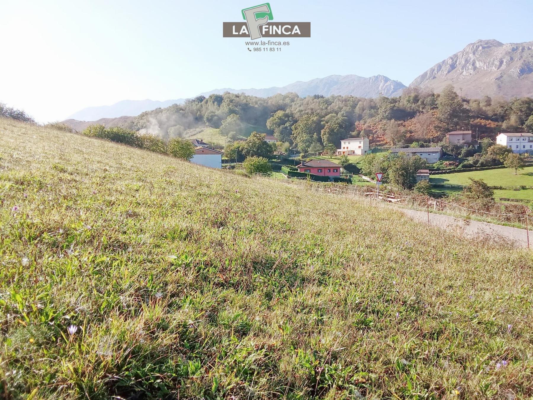 For sale of land in Morcín