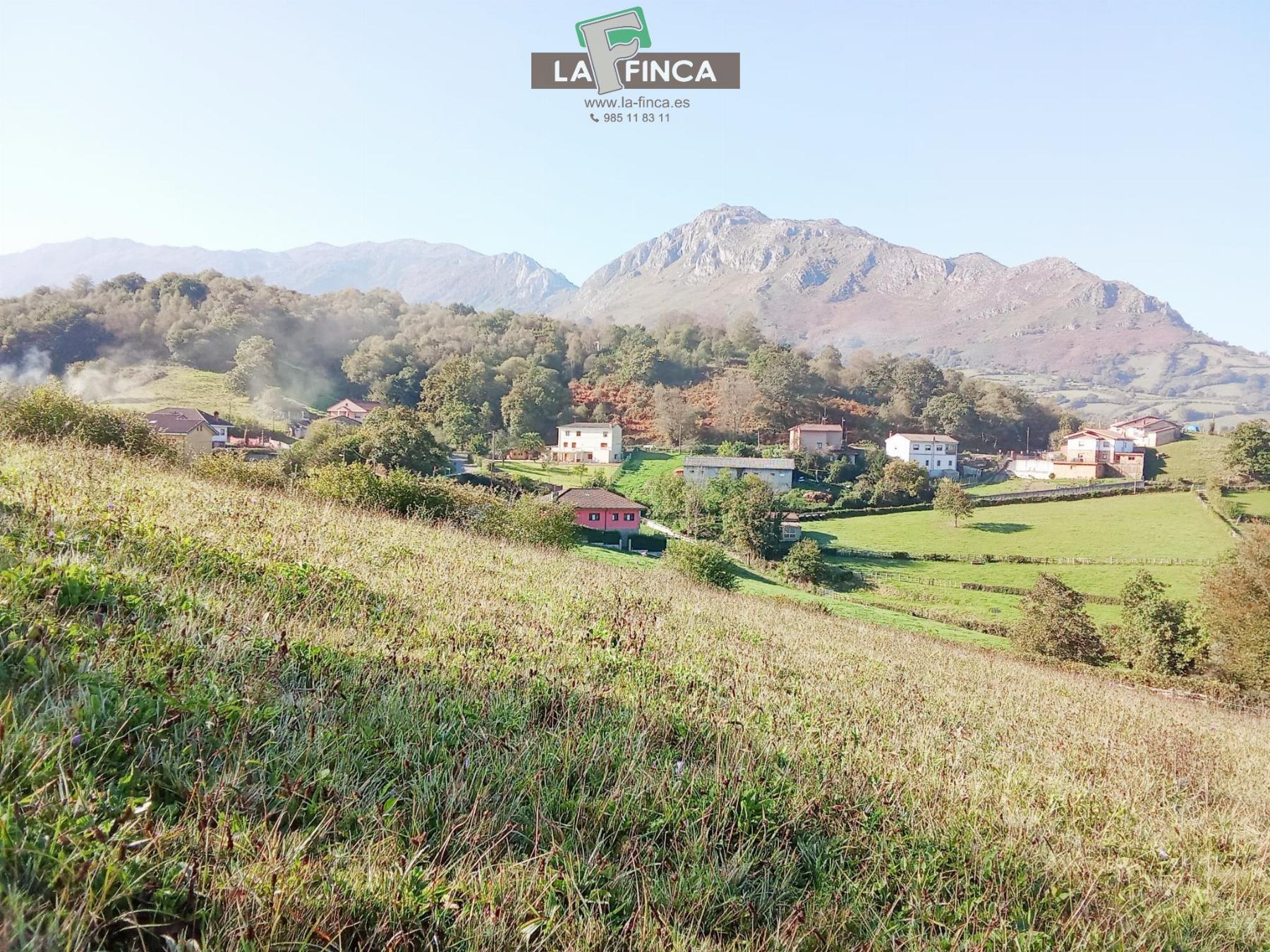 For sale of land in Morcín