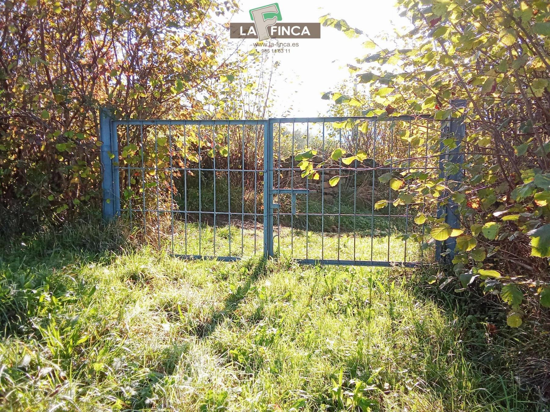 For sale of land in Morcín