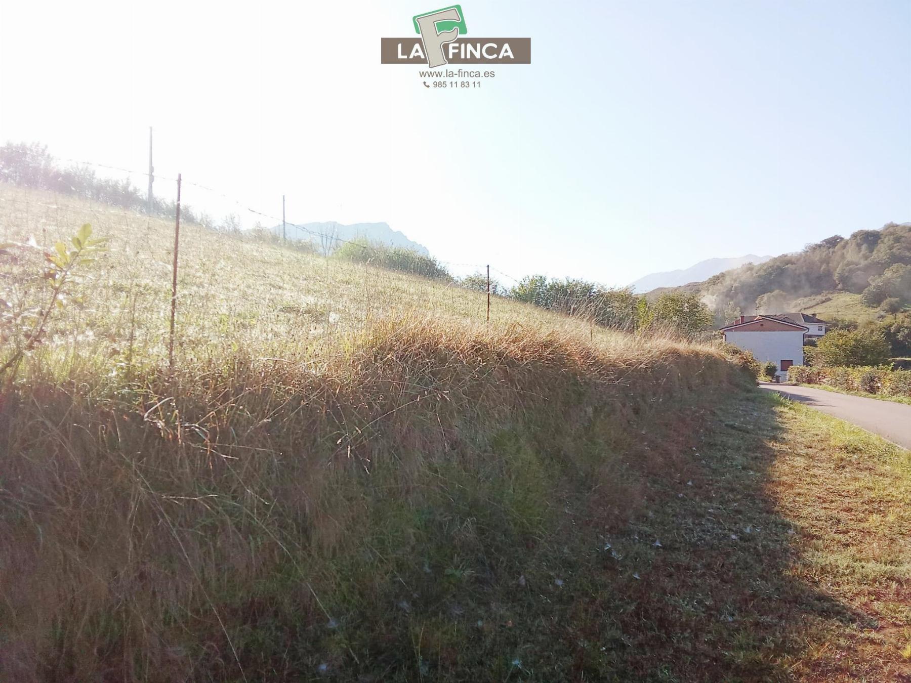 For sale of land in Morcín