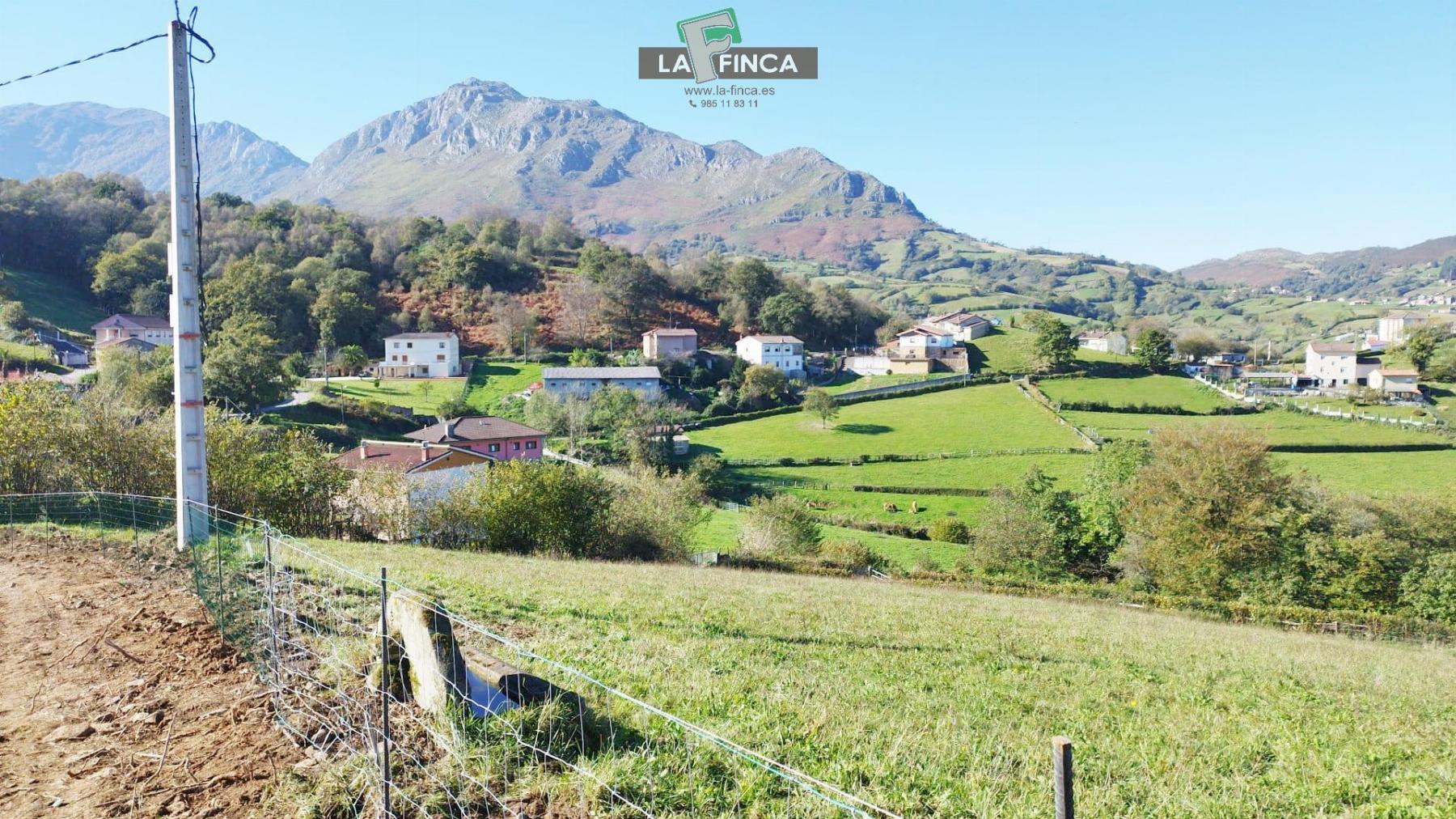 For sale of land in Morcín