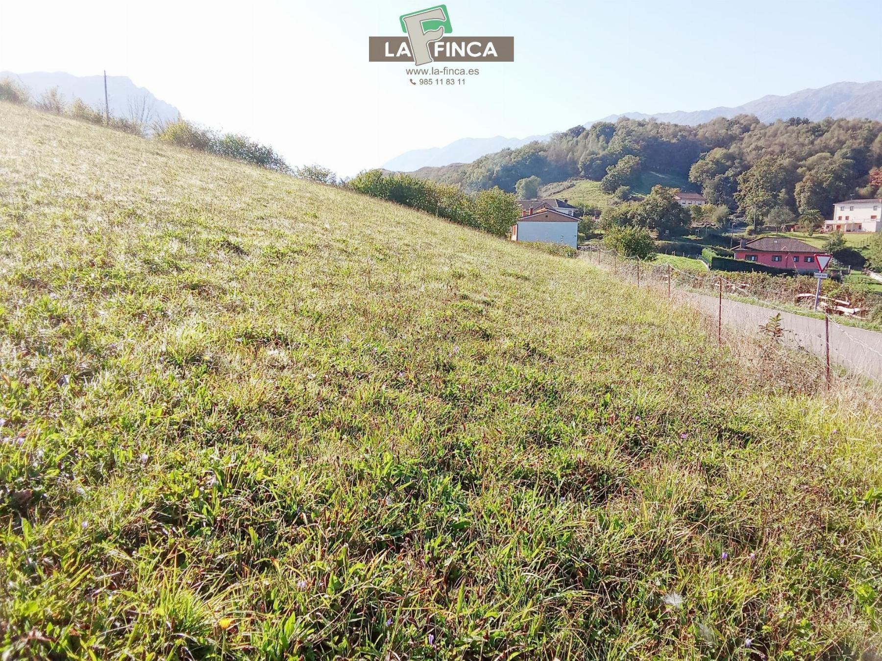 For sale of land in Morcín