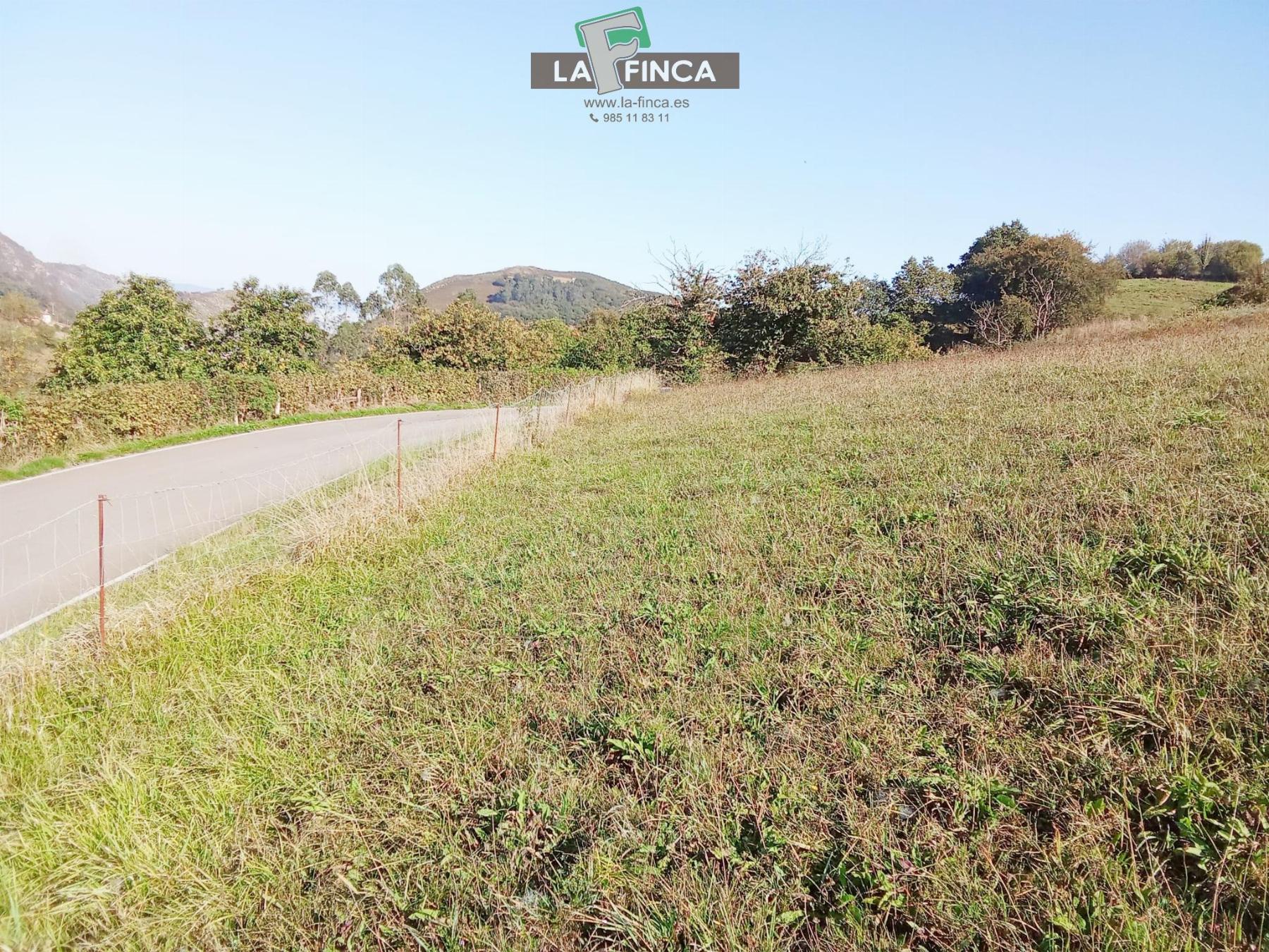 For sale of land in Morcín