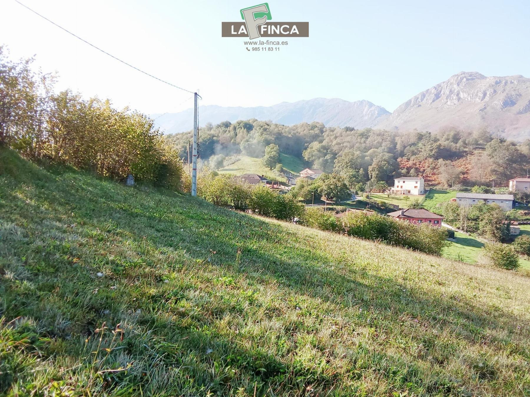 For sale of land in Morcín