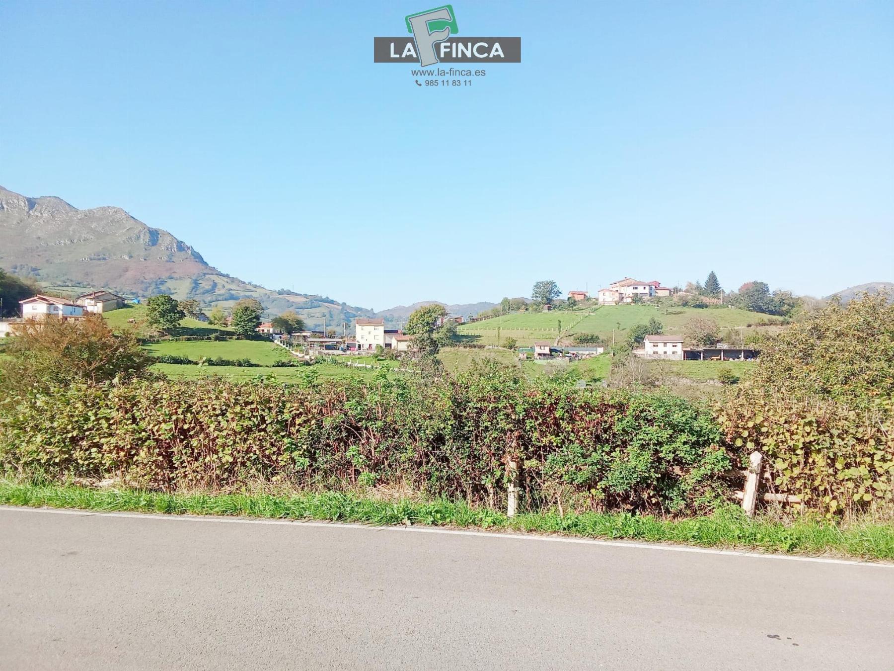 For sale of land in Morcín