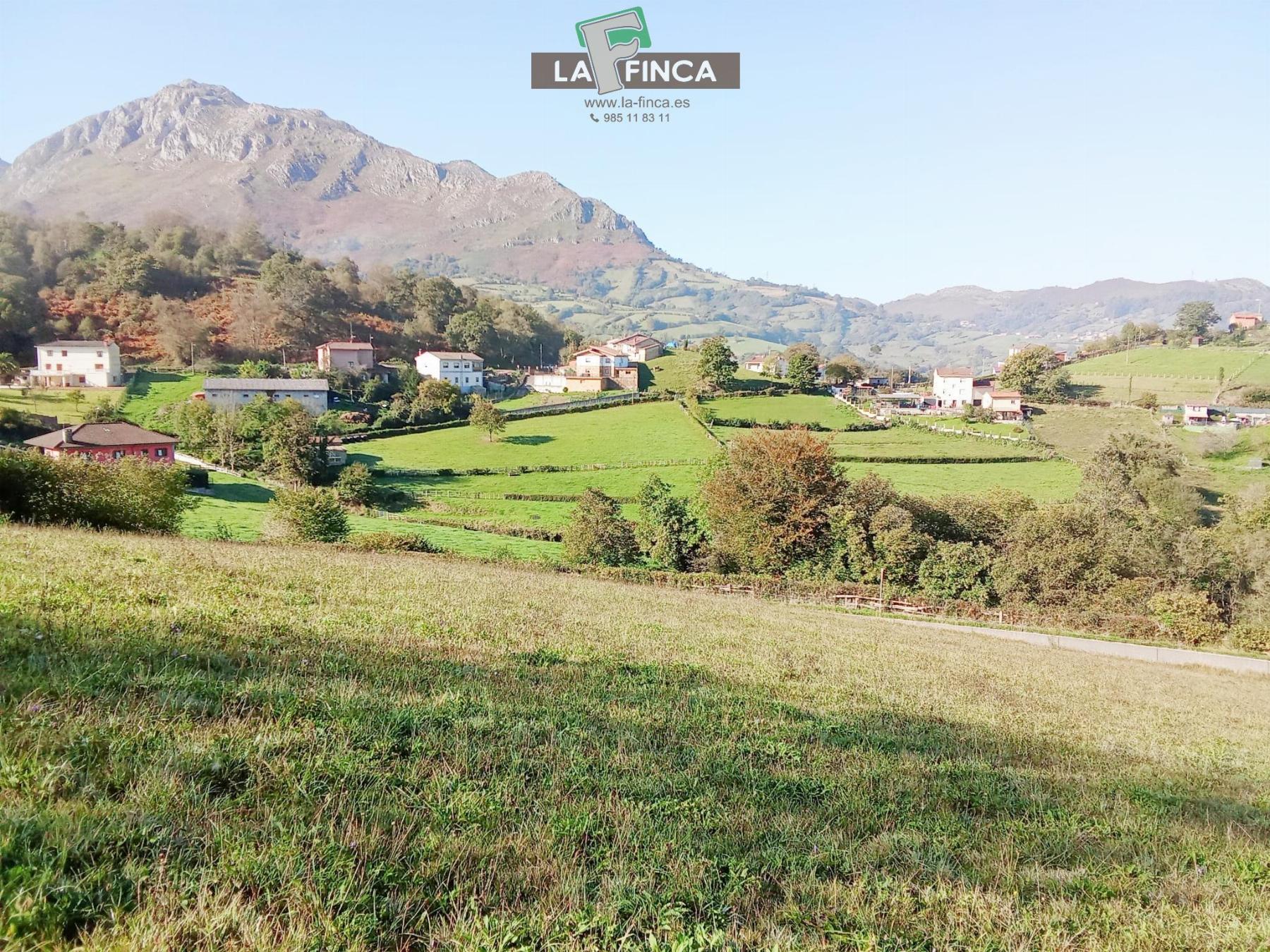 For sale of land in Morcín