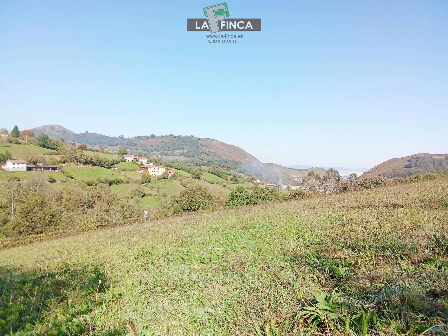 For sale of land in Morcín