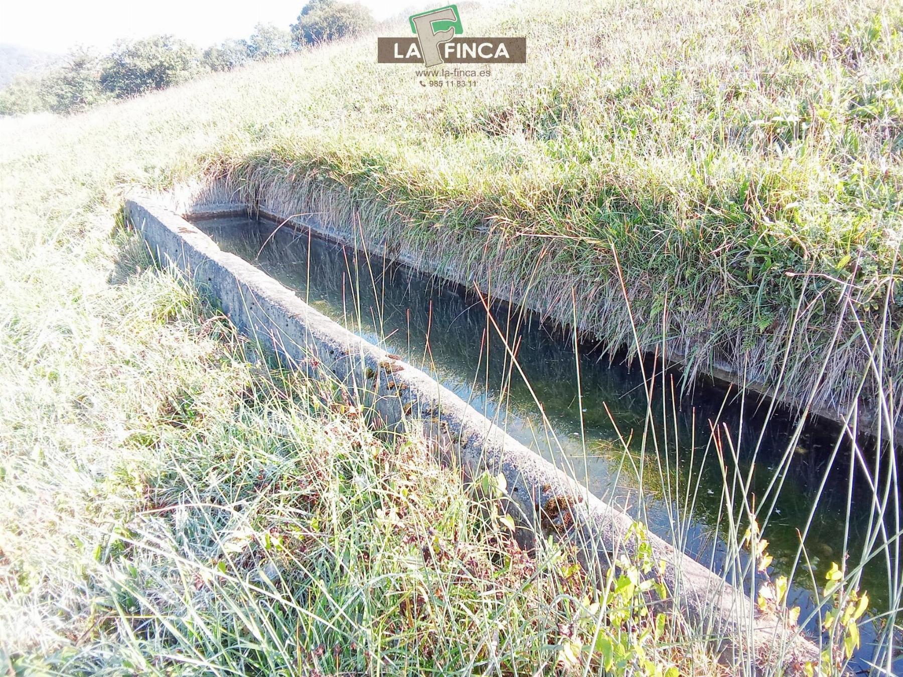 Venta de terreno en Morcín