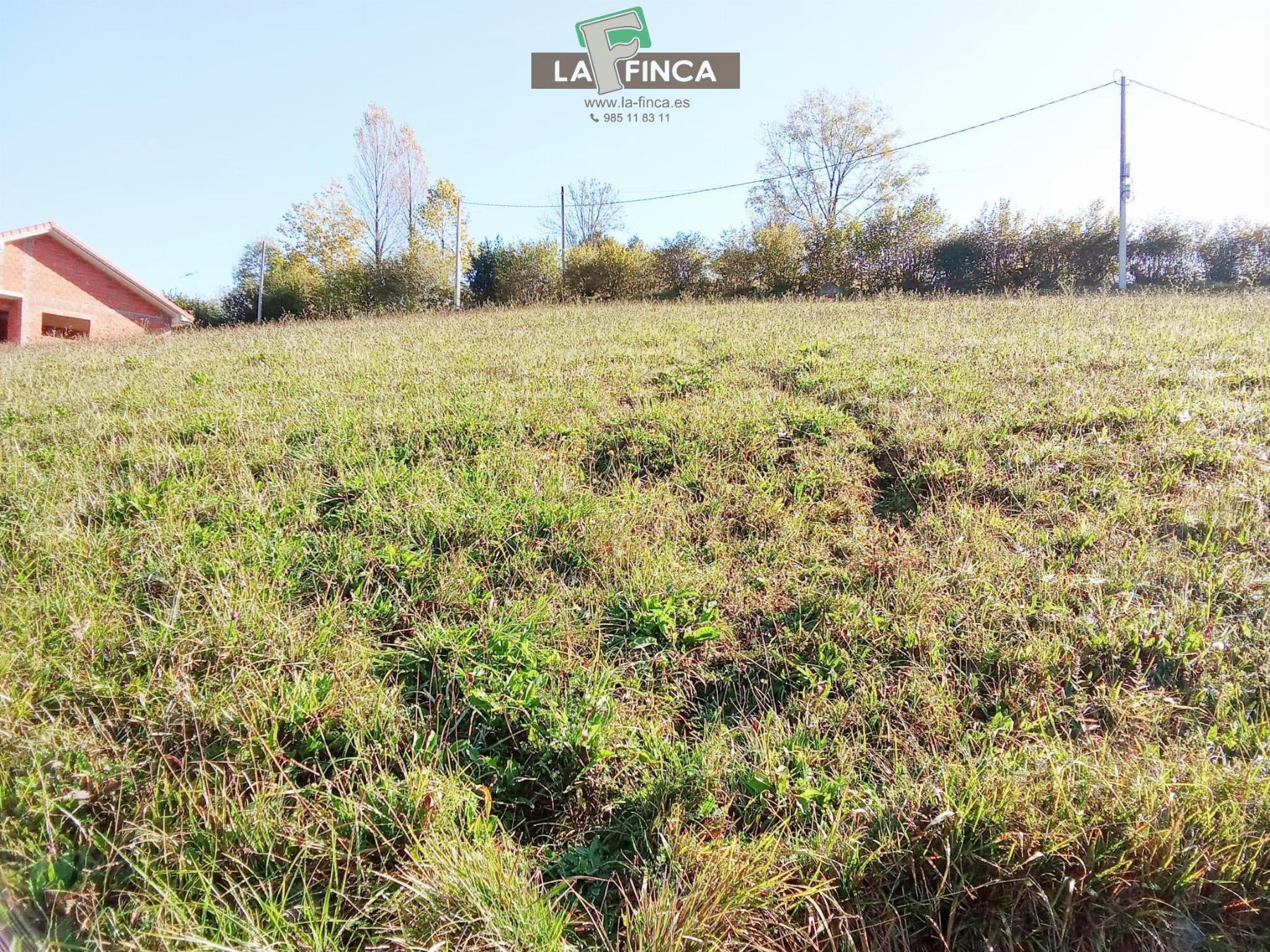 Venta de terreno en Morcín