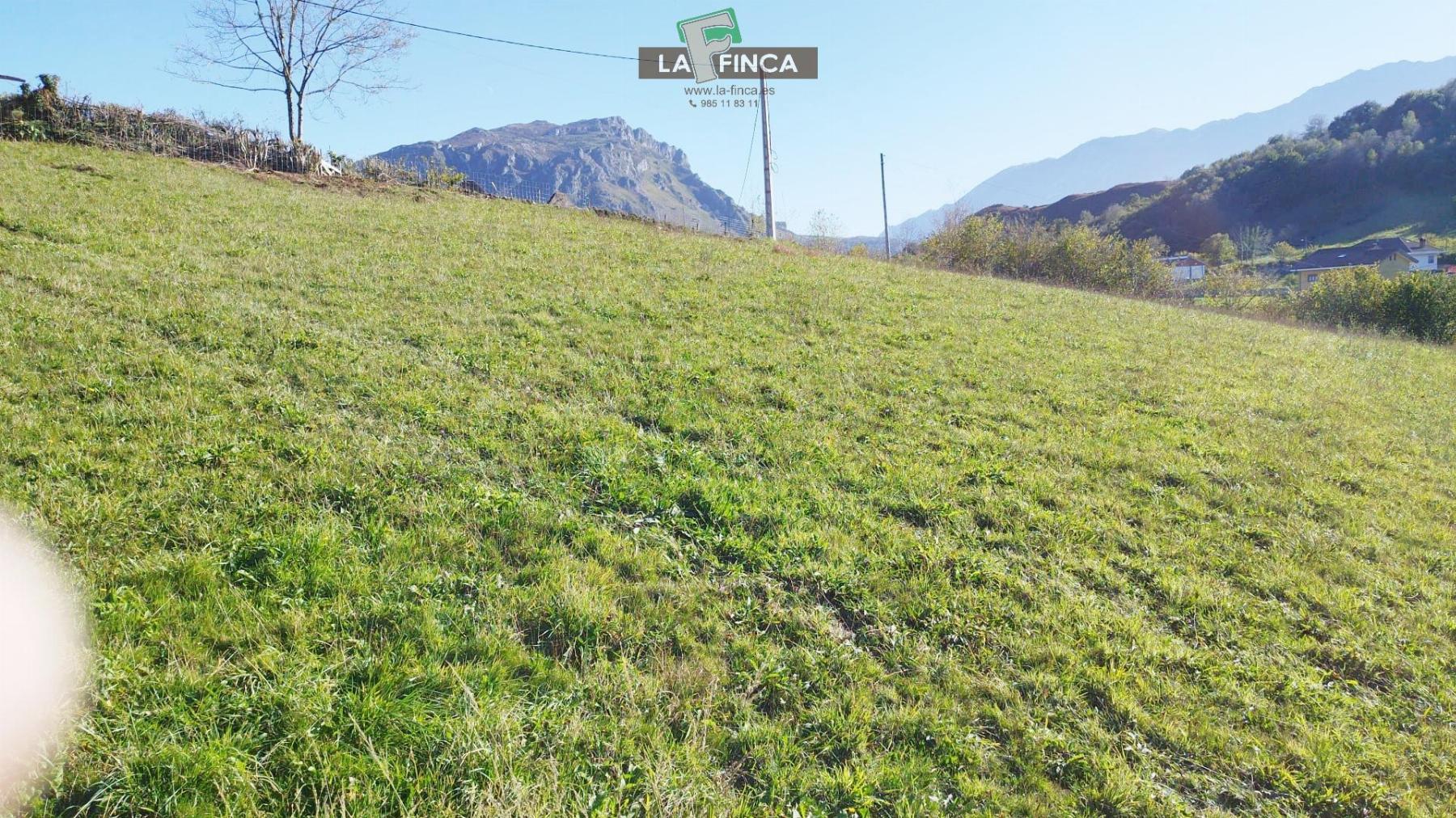 Venta de terreno en Morcín