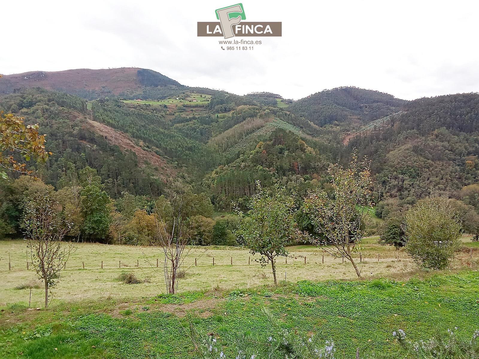 For sale of house in Pravia