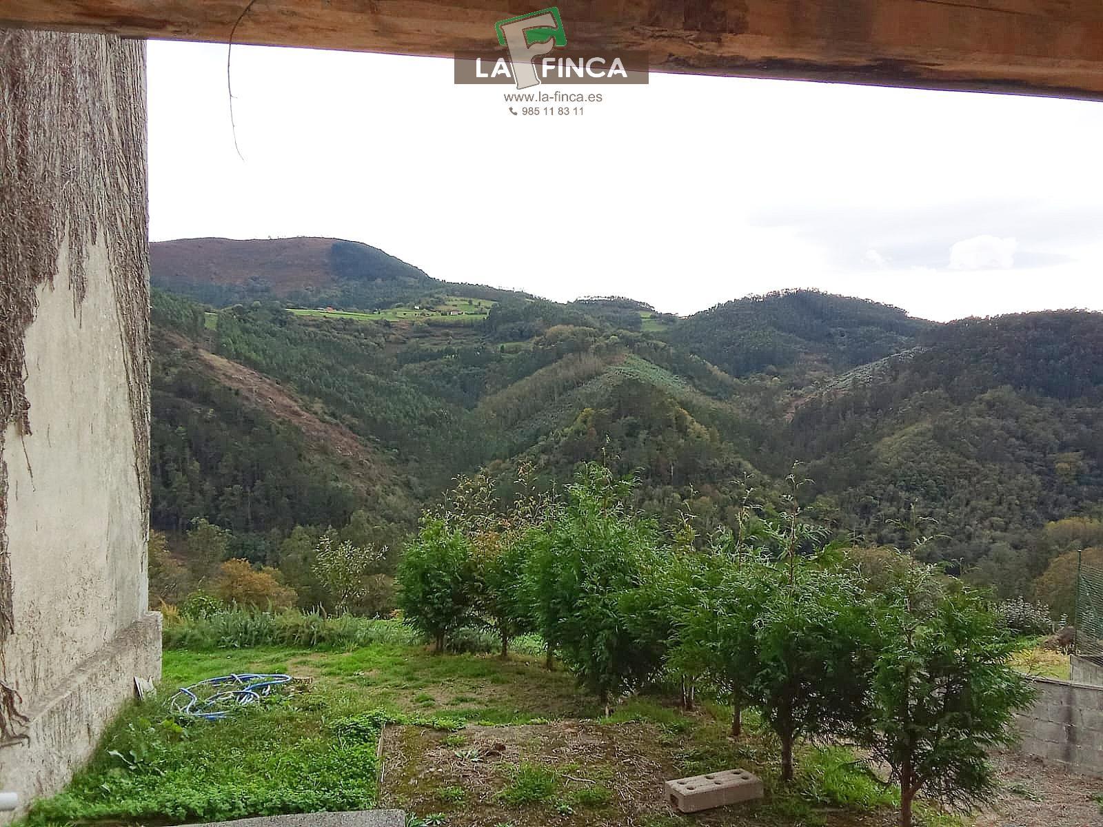 For sale of house in Pravia