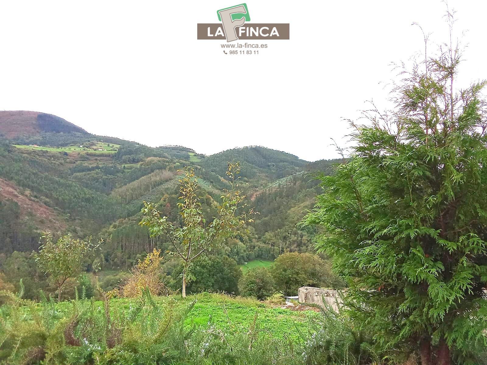 For sale of house in Pravia