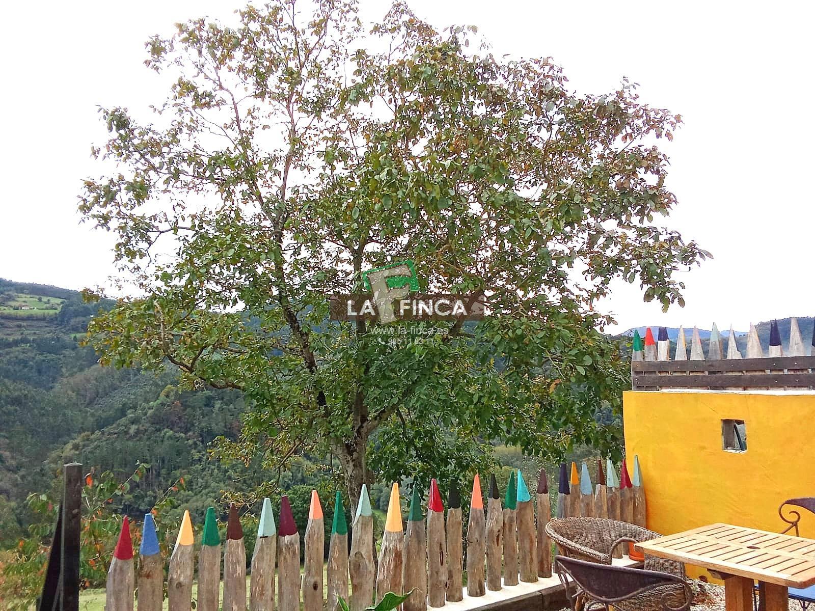 For sale of house in Pravia