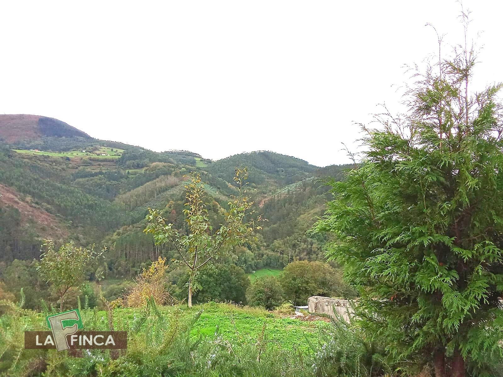 For sale of house in Pravia