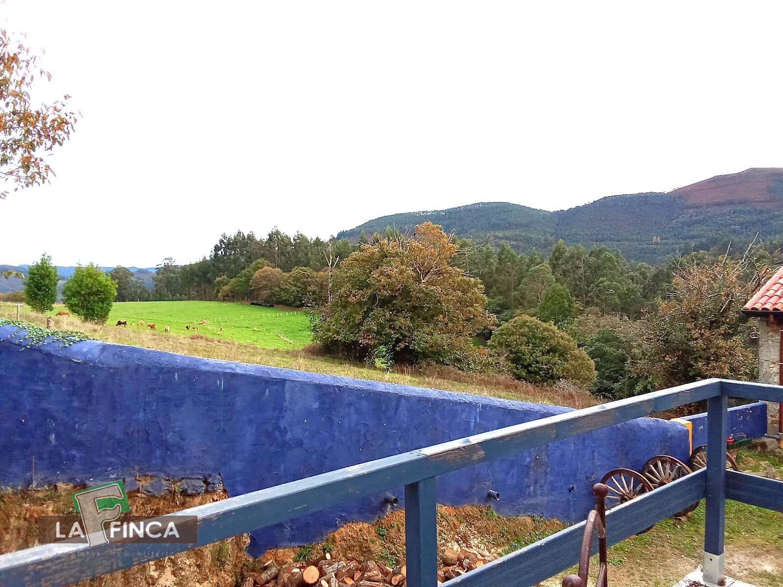 For sale of house in Pravia