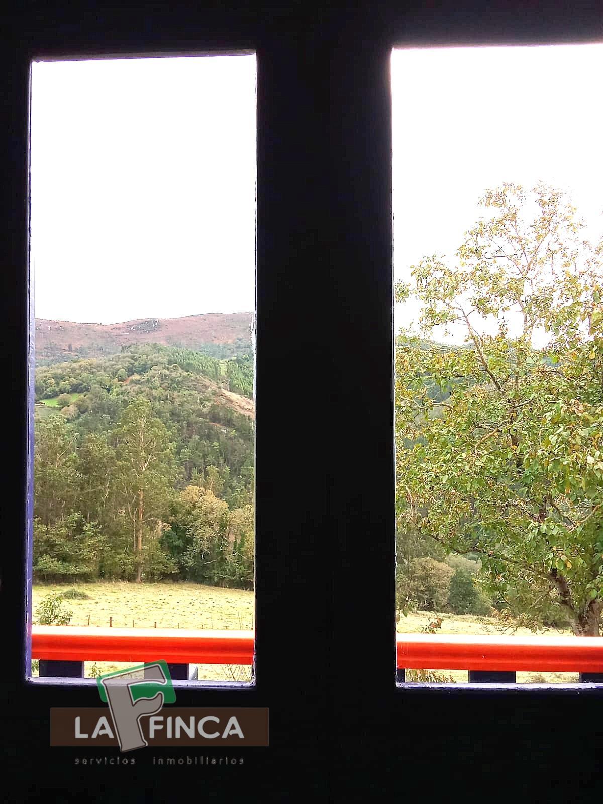 For sale of house in Pravia
