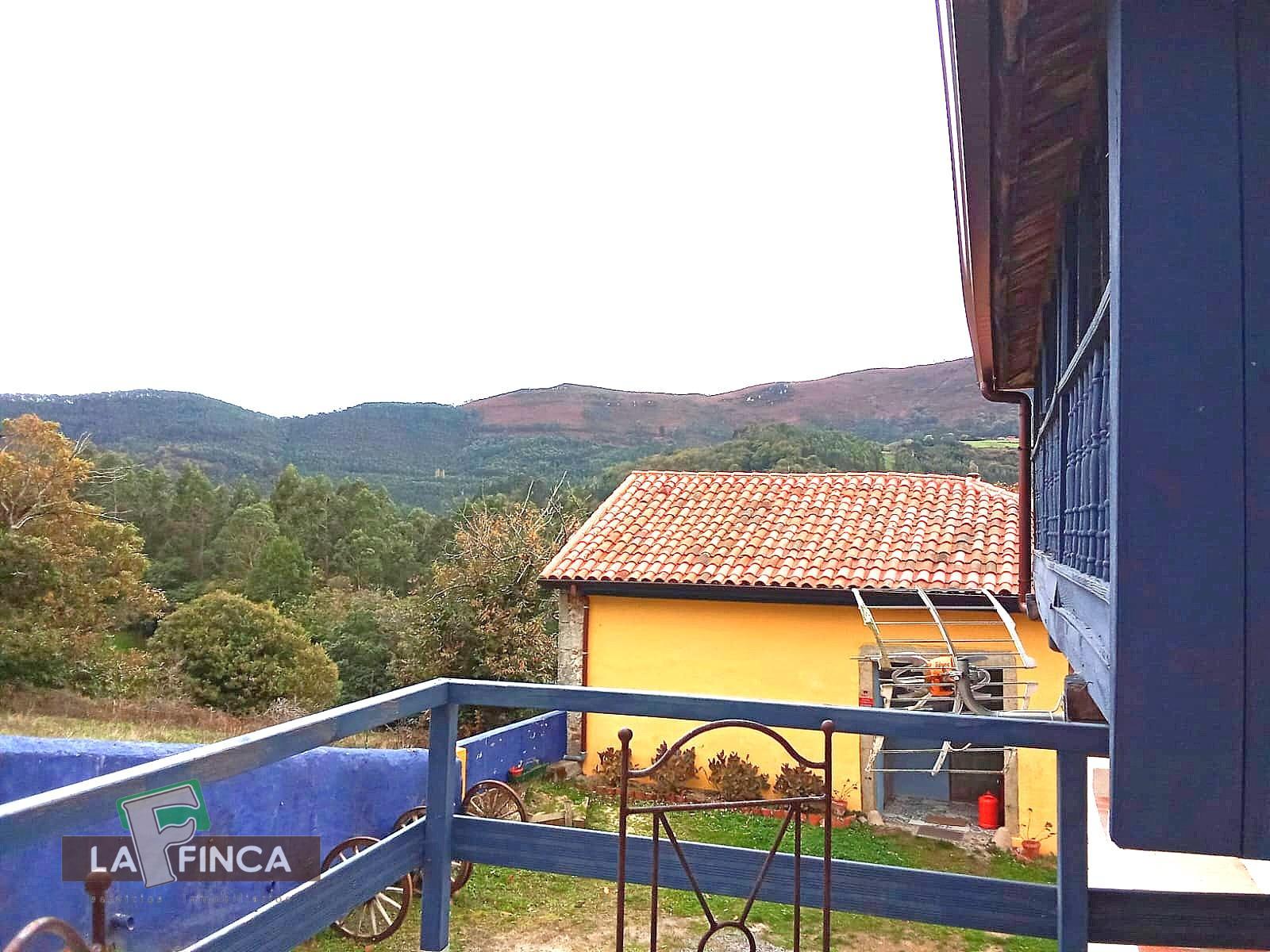 For sale of house in Pravia